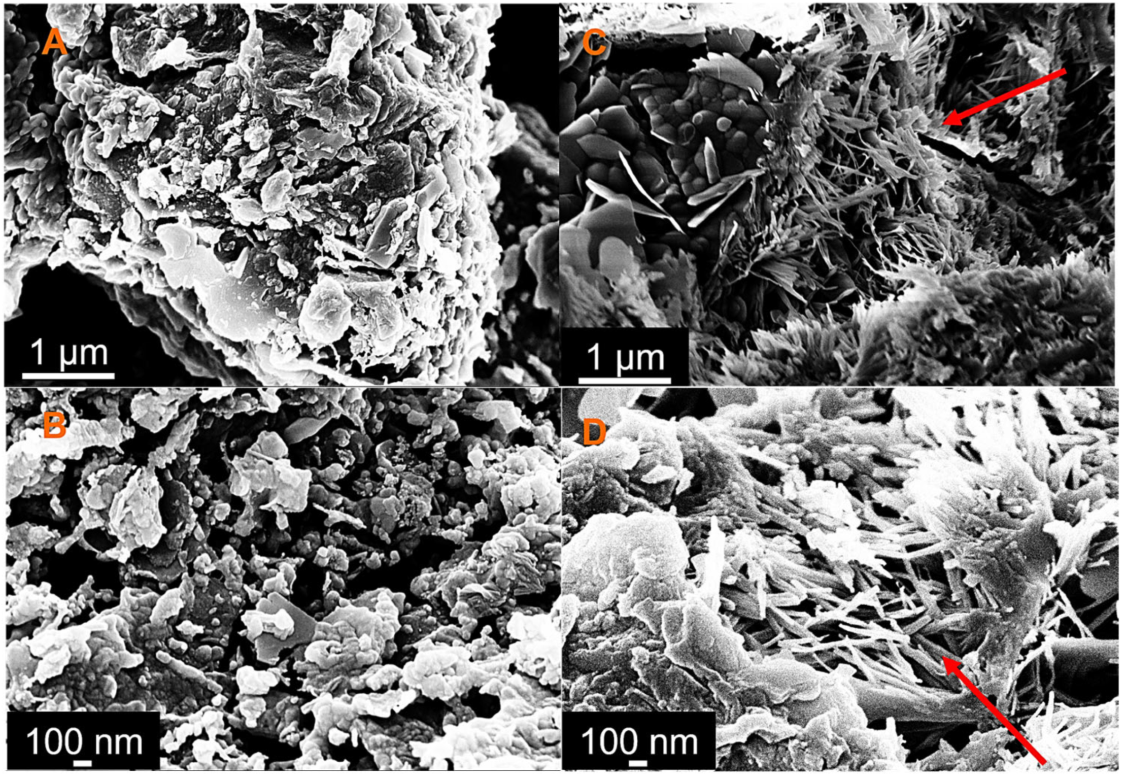 Nanomaterials 13 00901 g004 Nanomaterials 13 00901 g004