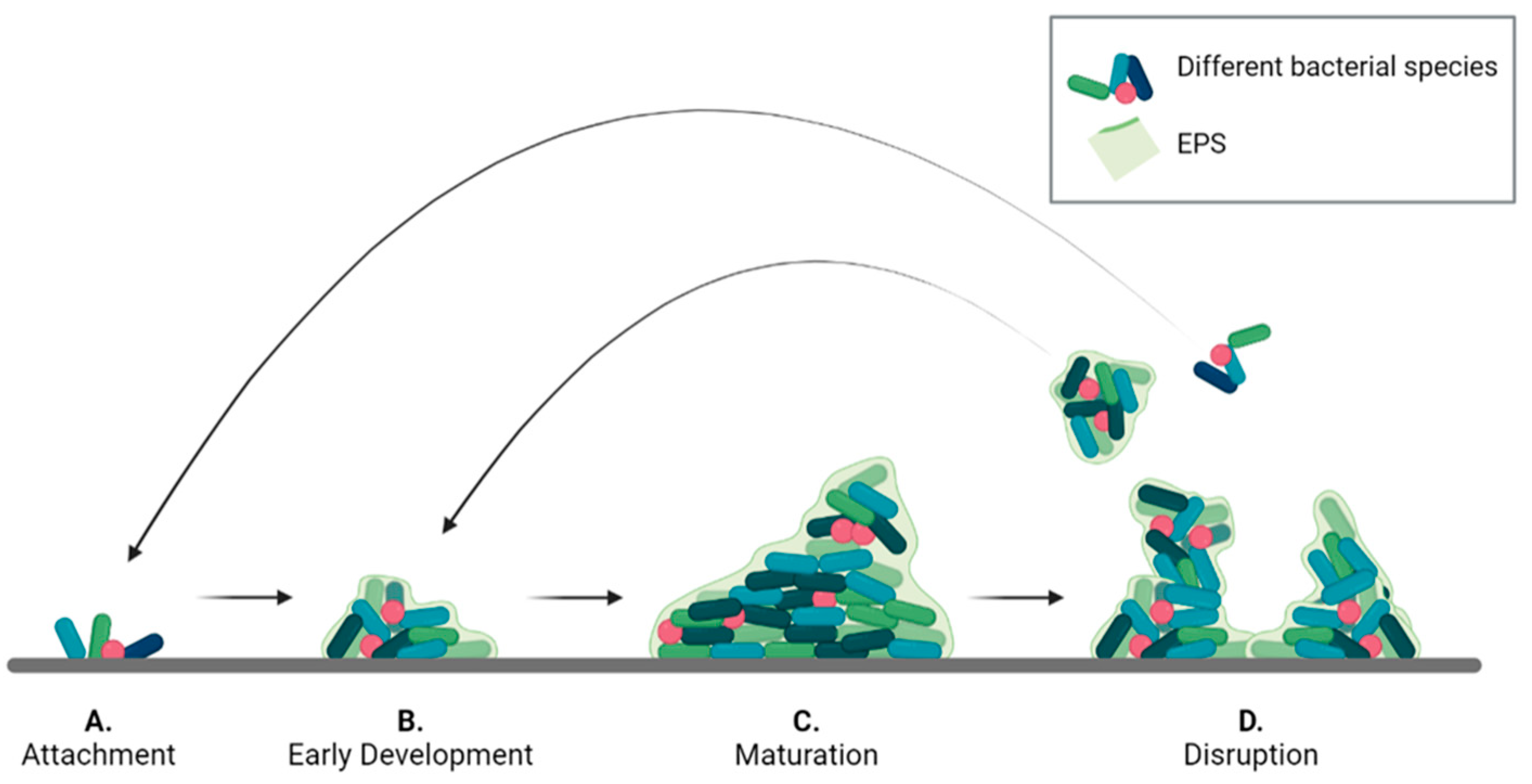 Nanomaterials 13 00904 g001