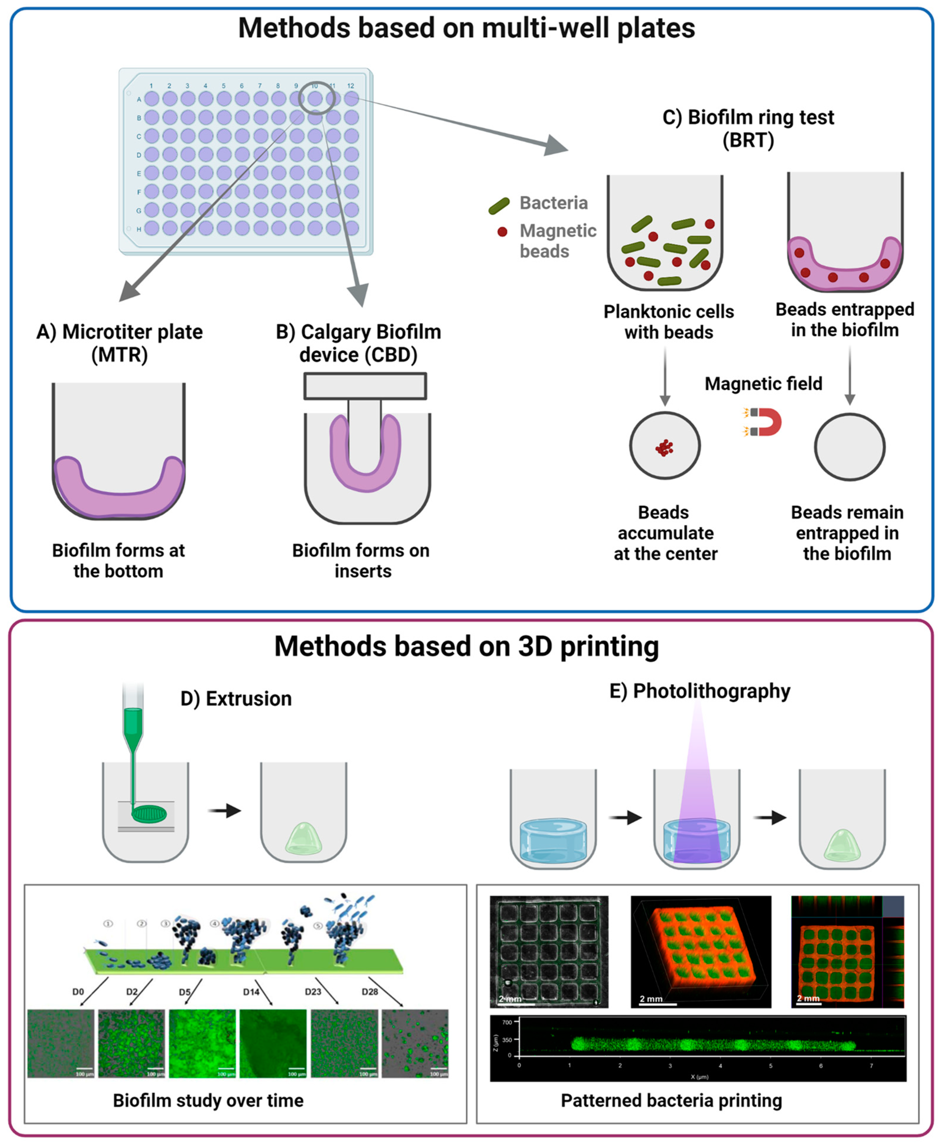 Nanomaterials 13 00904 g002