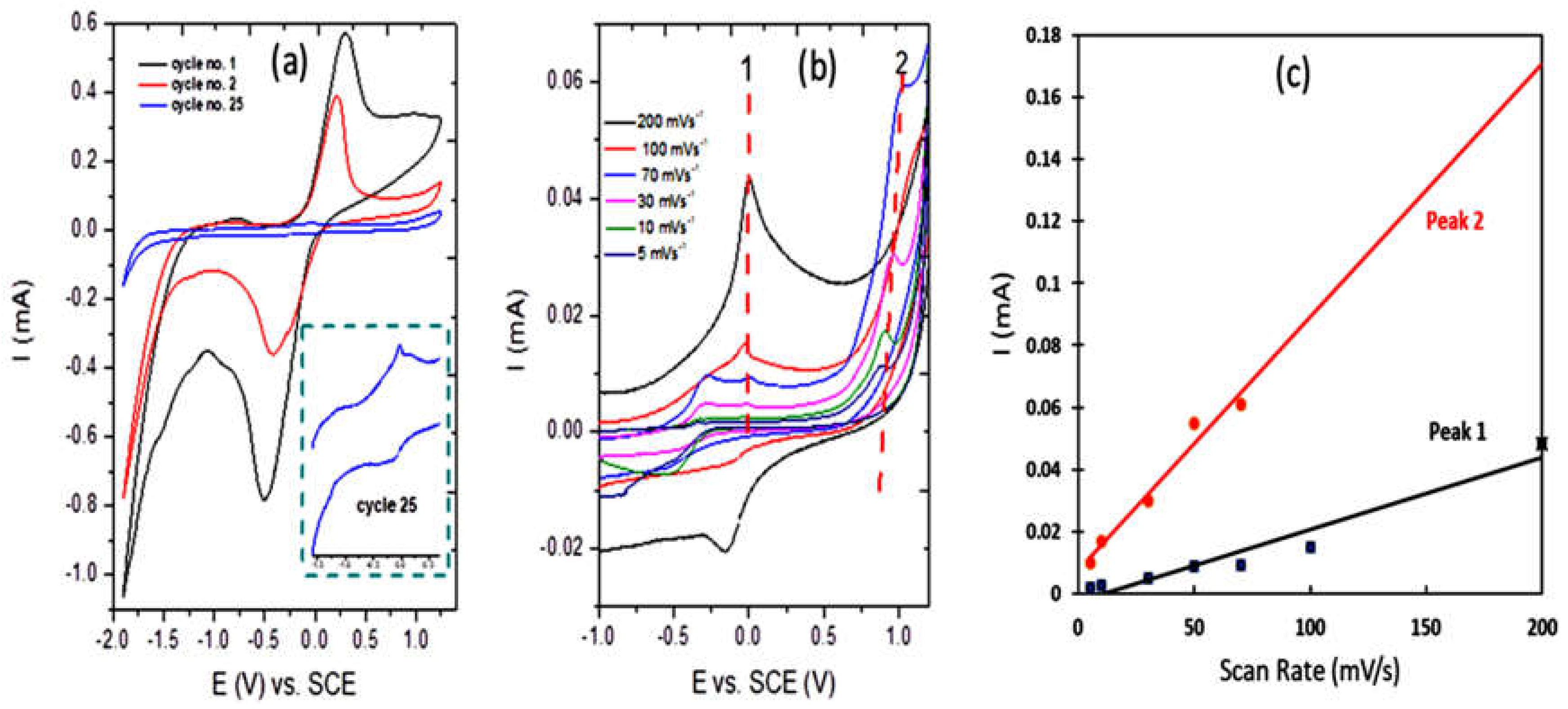 Nanomaterials 13 00911 g006