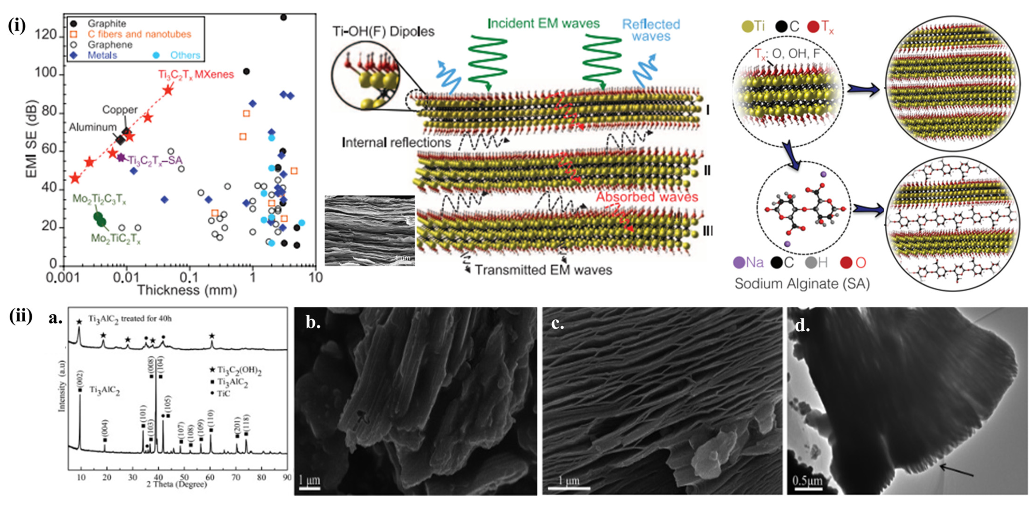 Nanomaterials 13 00919 g007