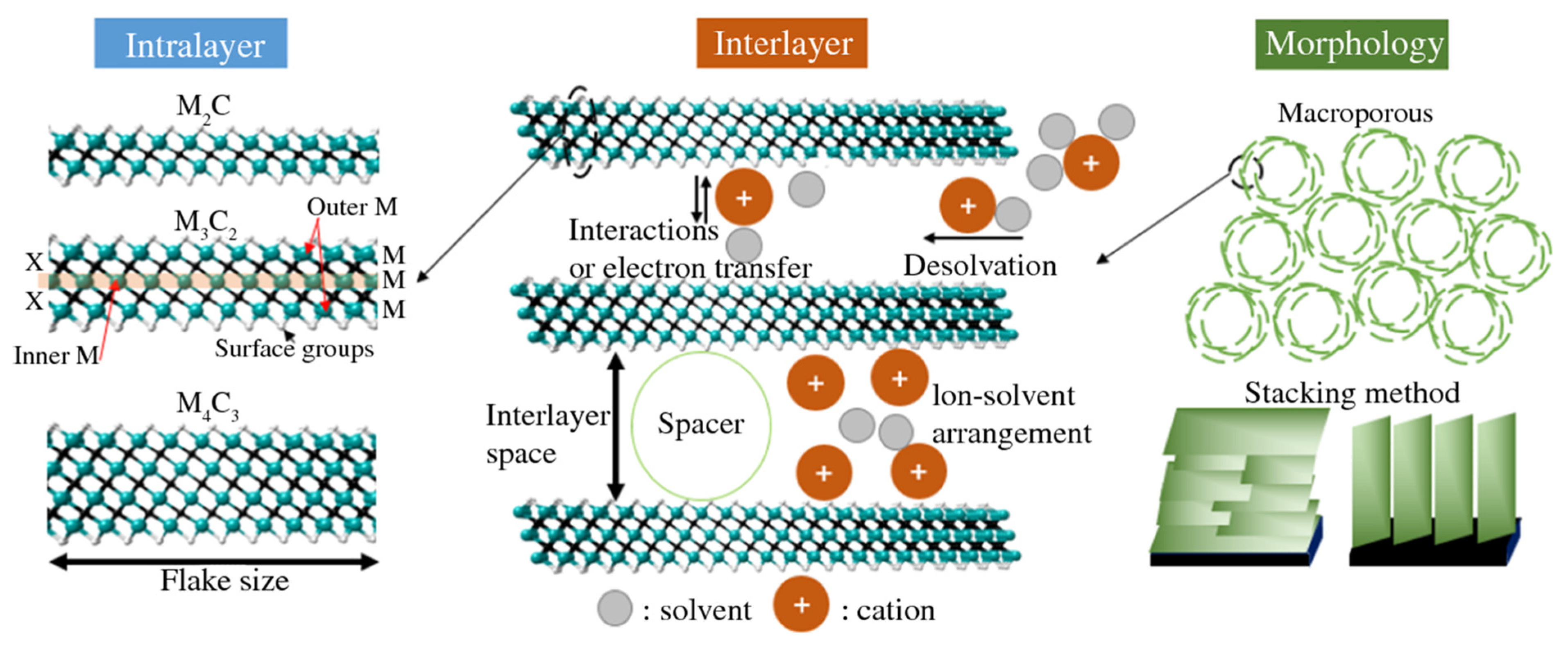 Nanomaterials 13 00919 g010