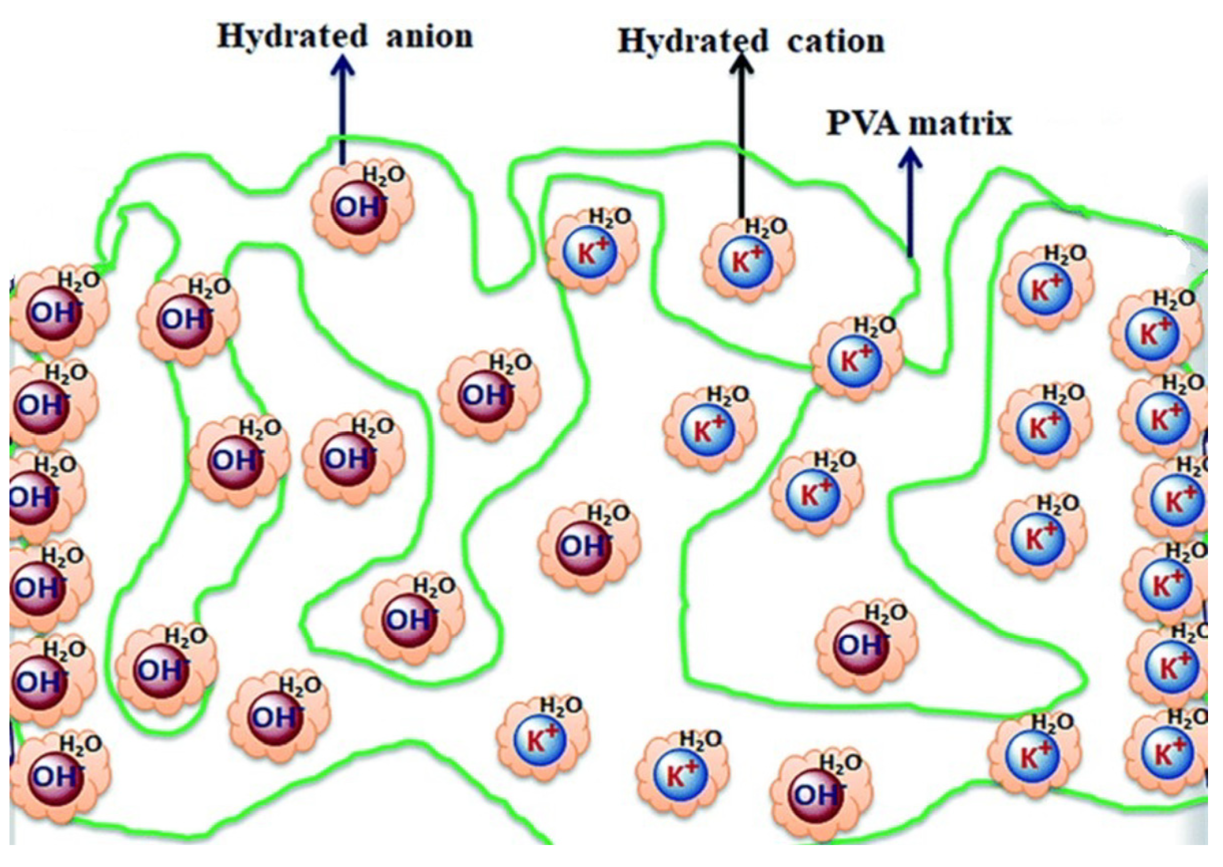 Nanomaterials 13 00919 g024
