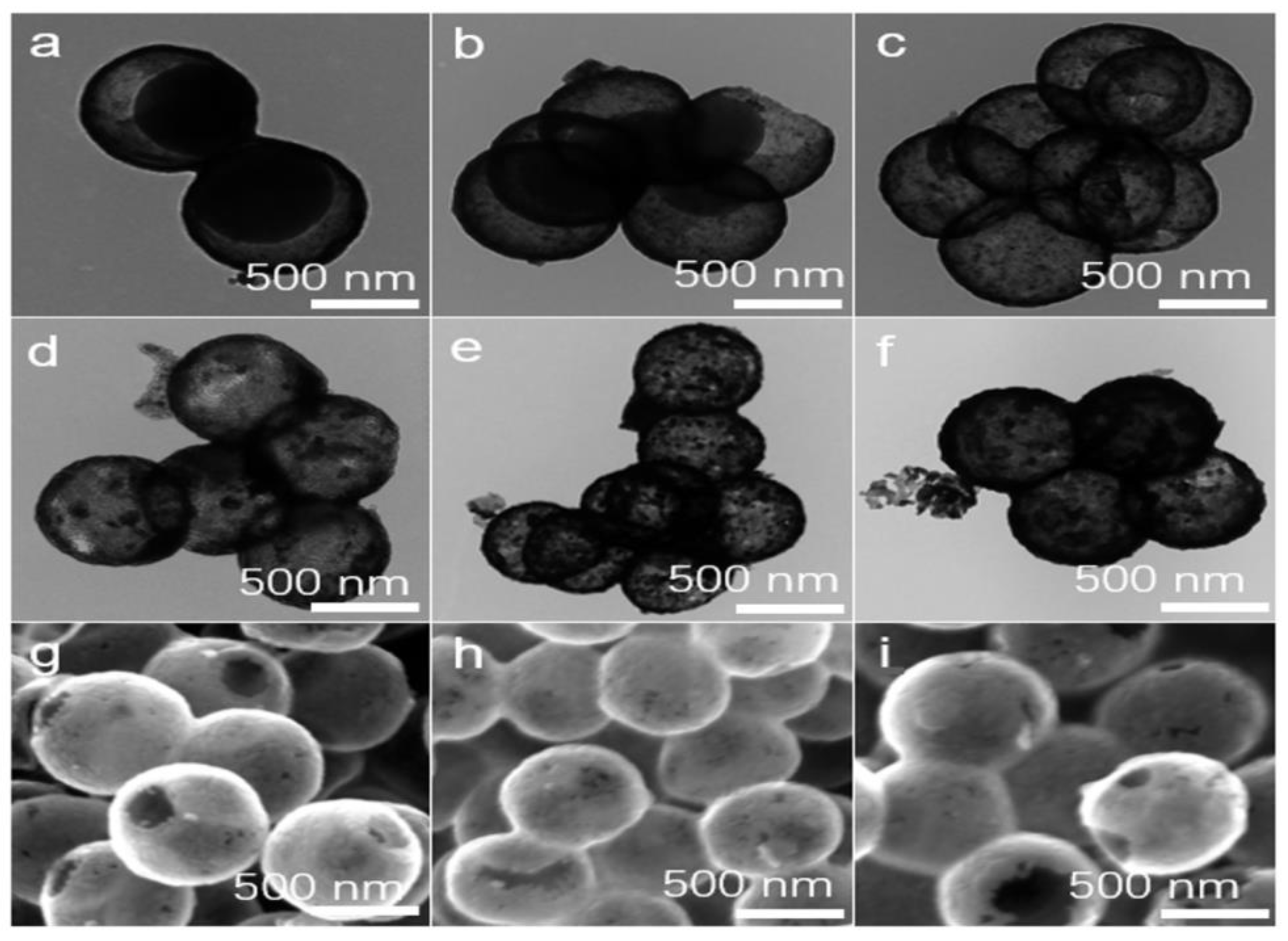 Nanomaterials 13 00926 g002