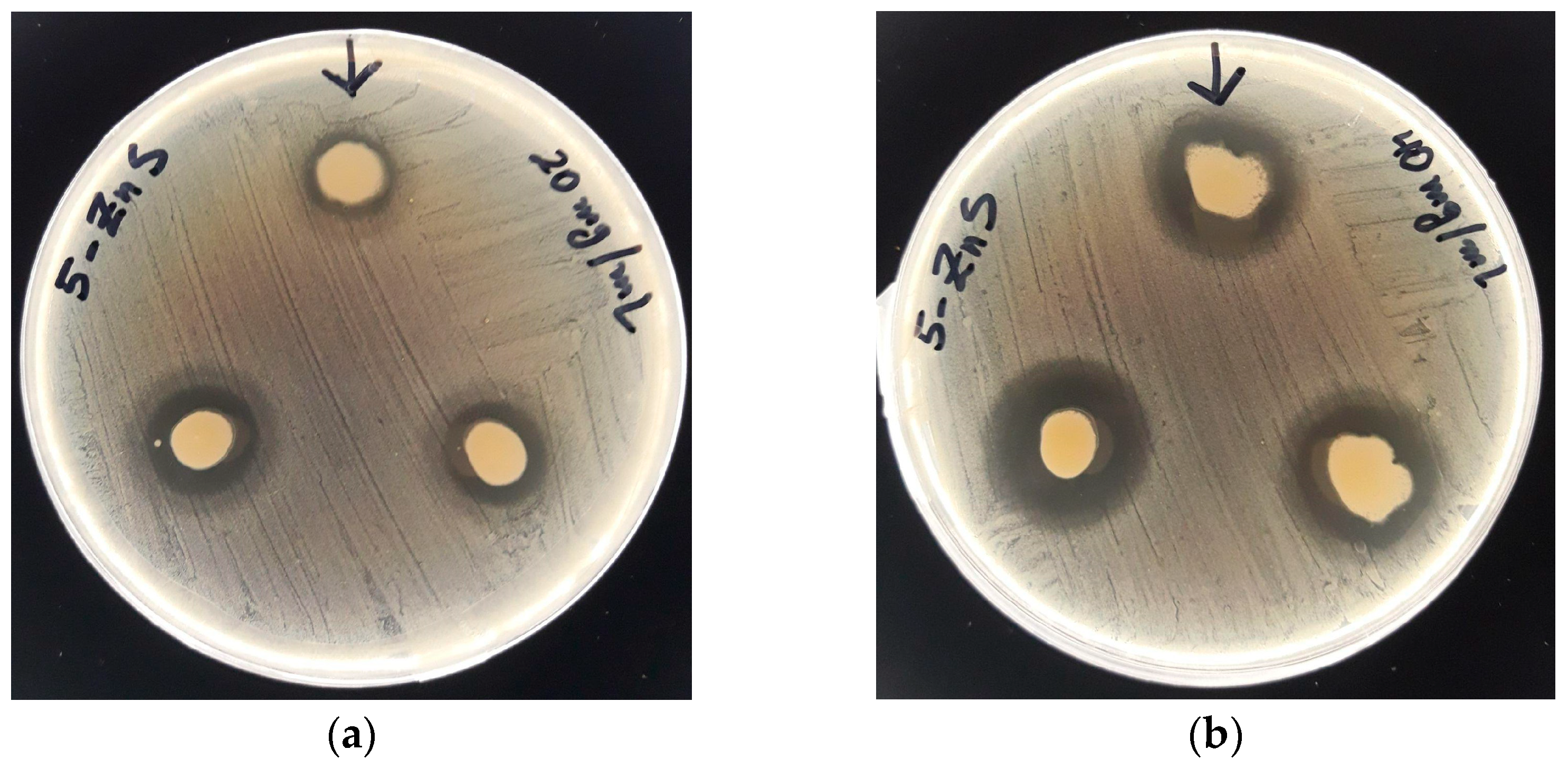 Nanomaterials 13 00935 g008