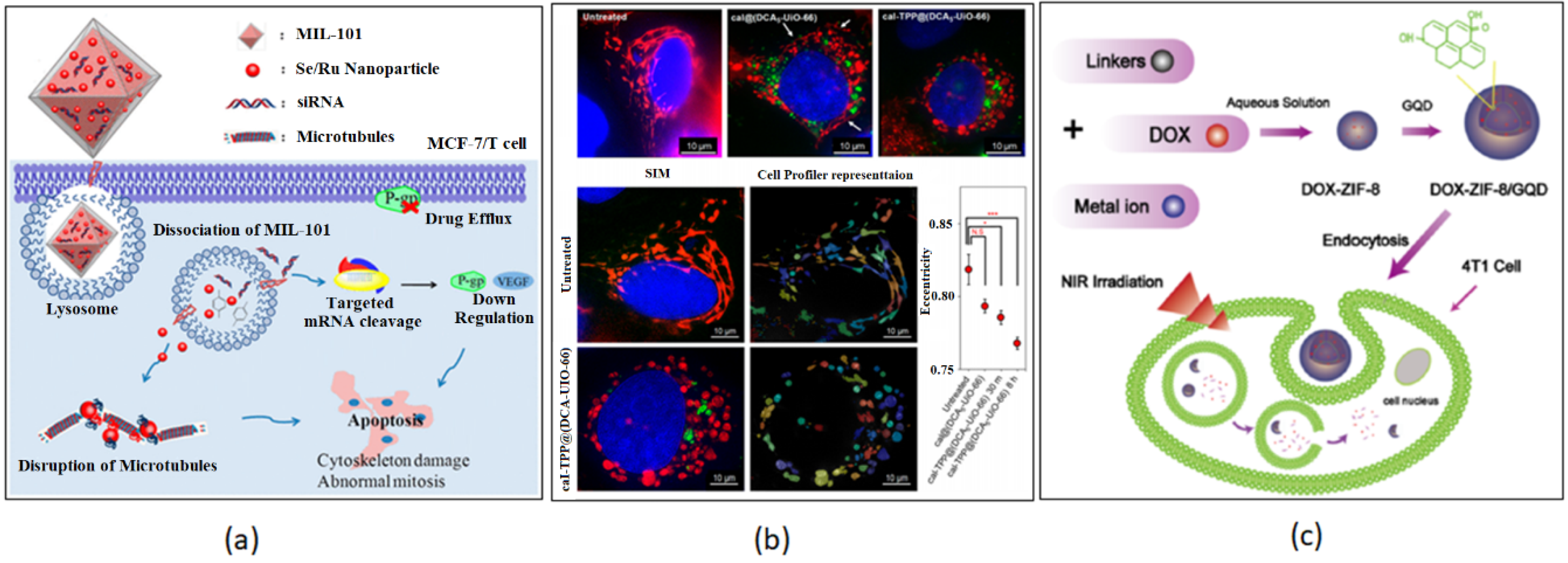 Nanomaterials 13 00953 g014