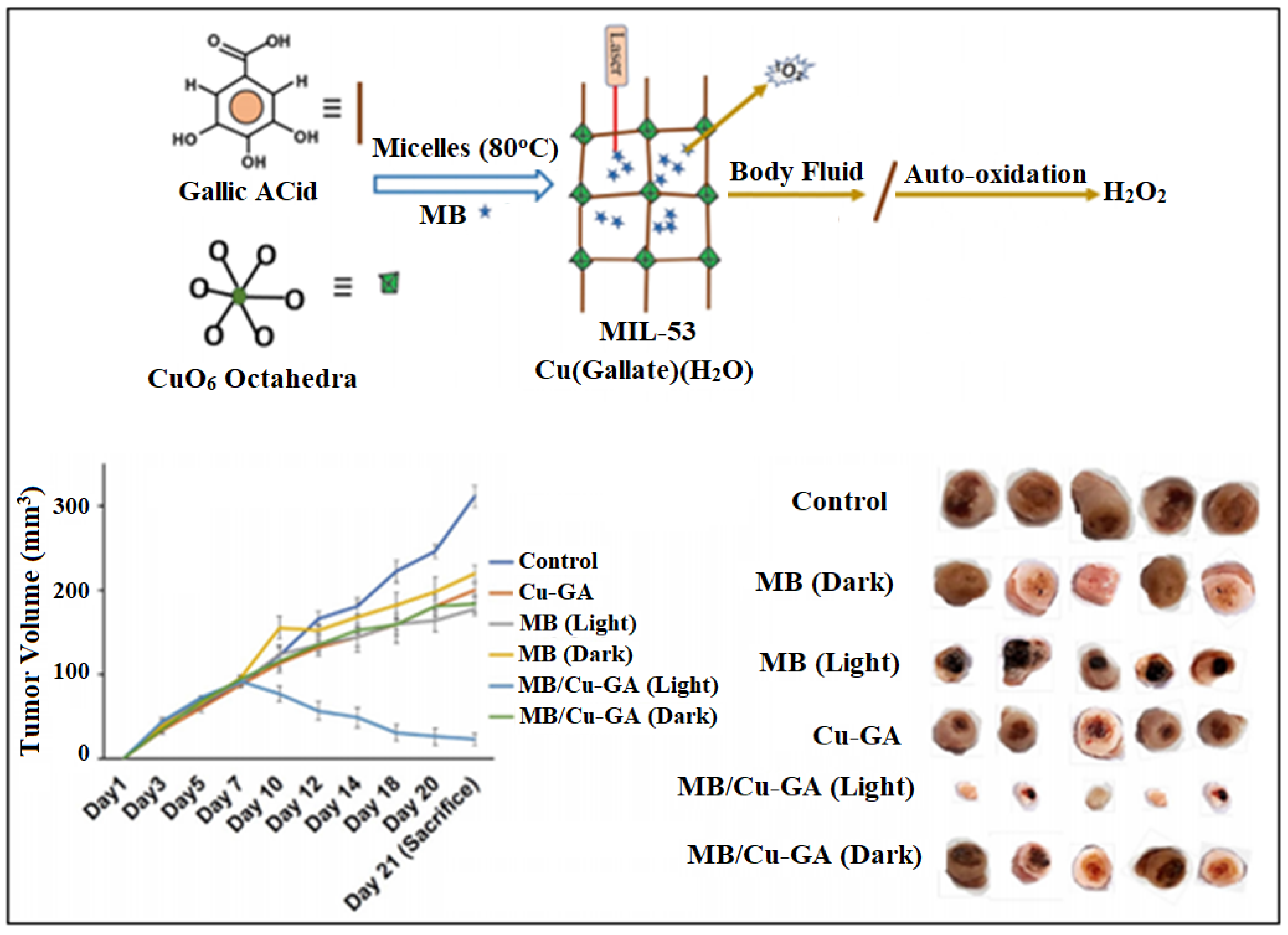 Nanomaterials 13 00953 g016