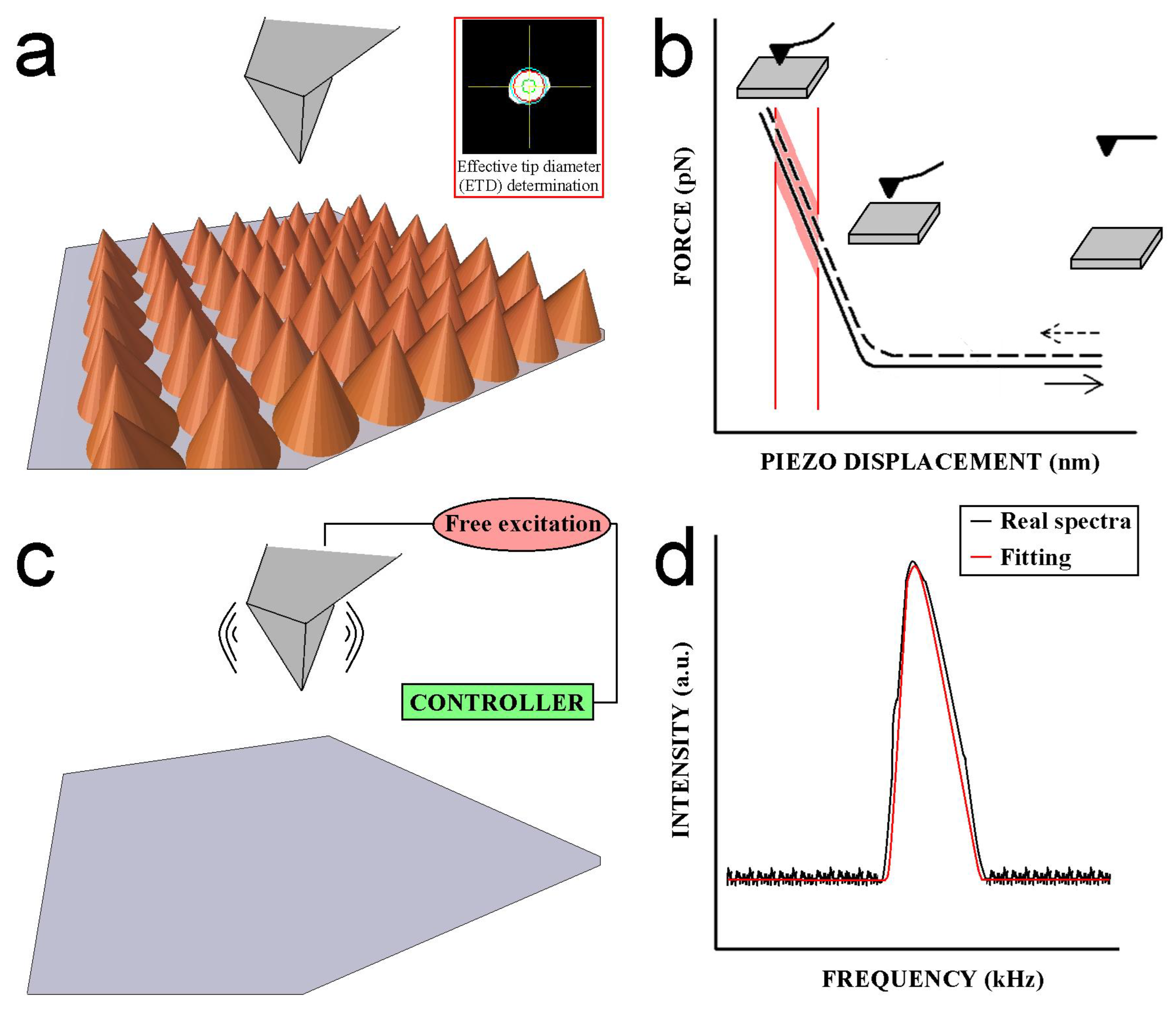 Nanomaterials 13 00963 g003