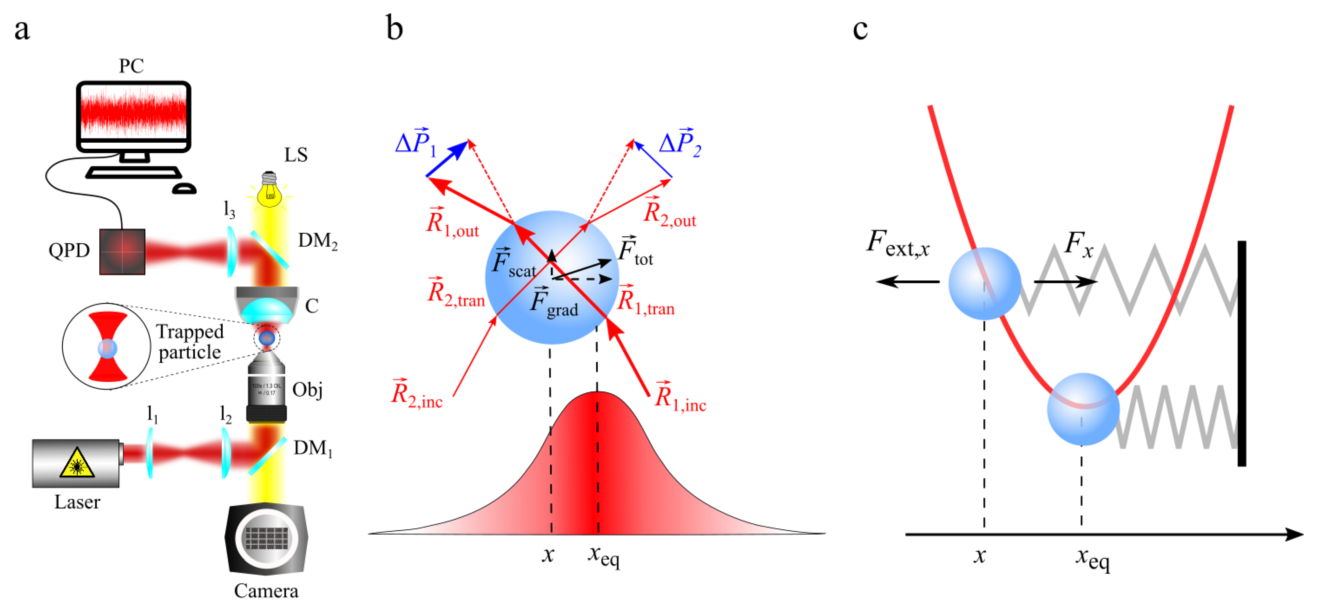 Nanomaterials 13 00963 g005