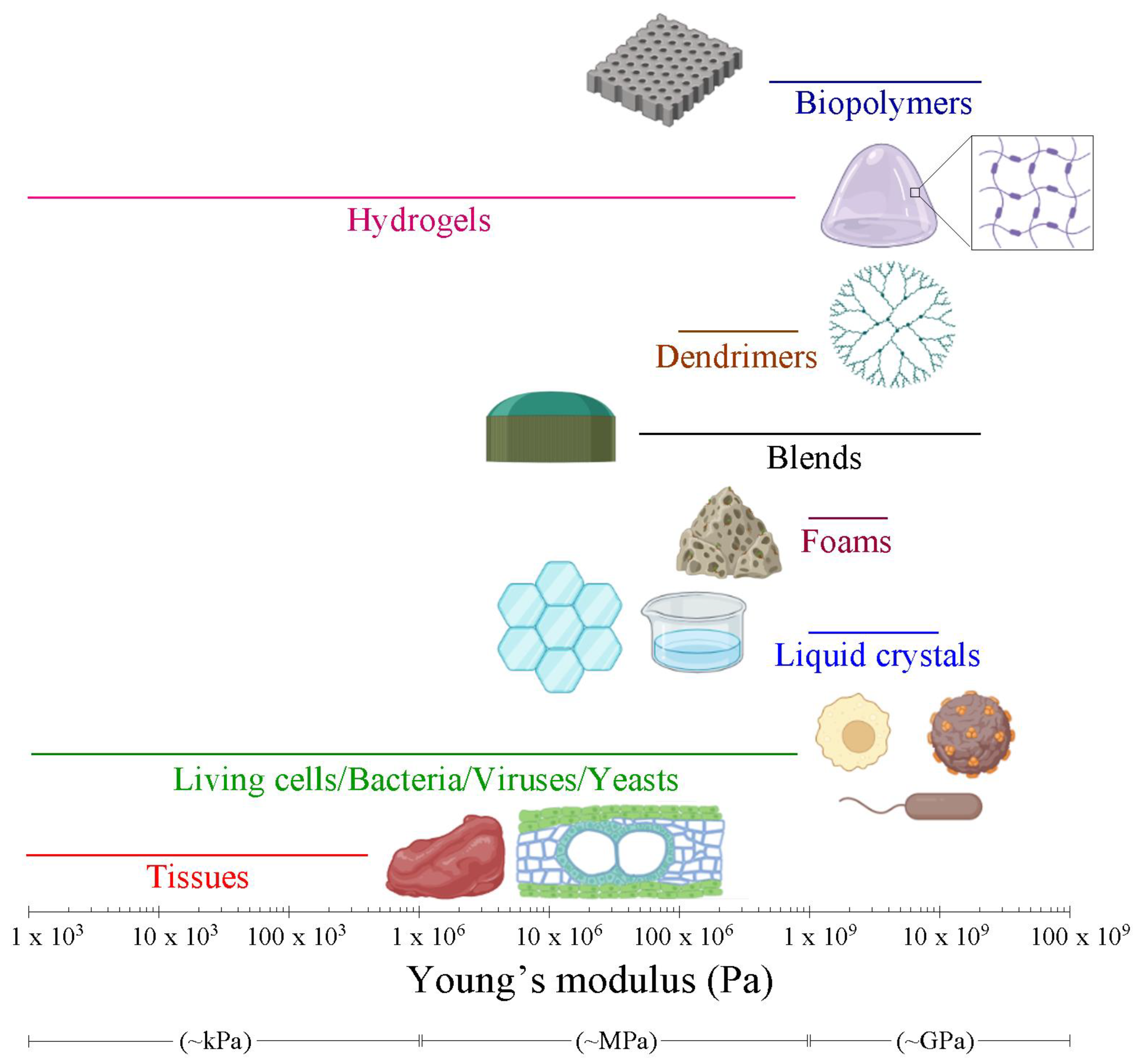 Nanomaterials 13 00963 g006