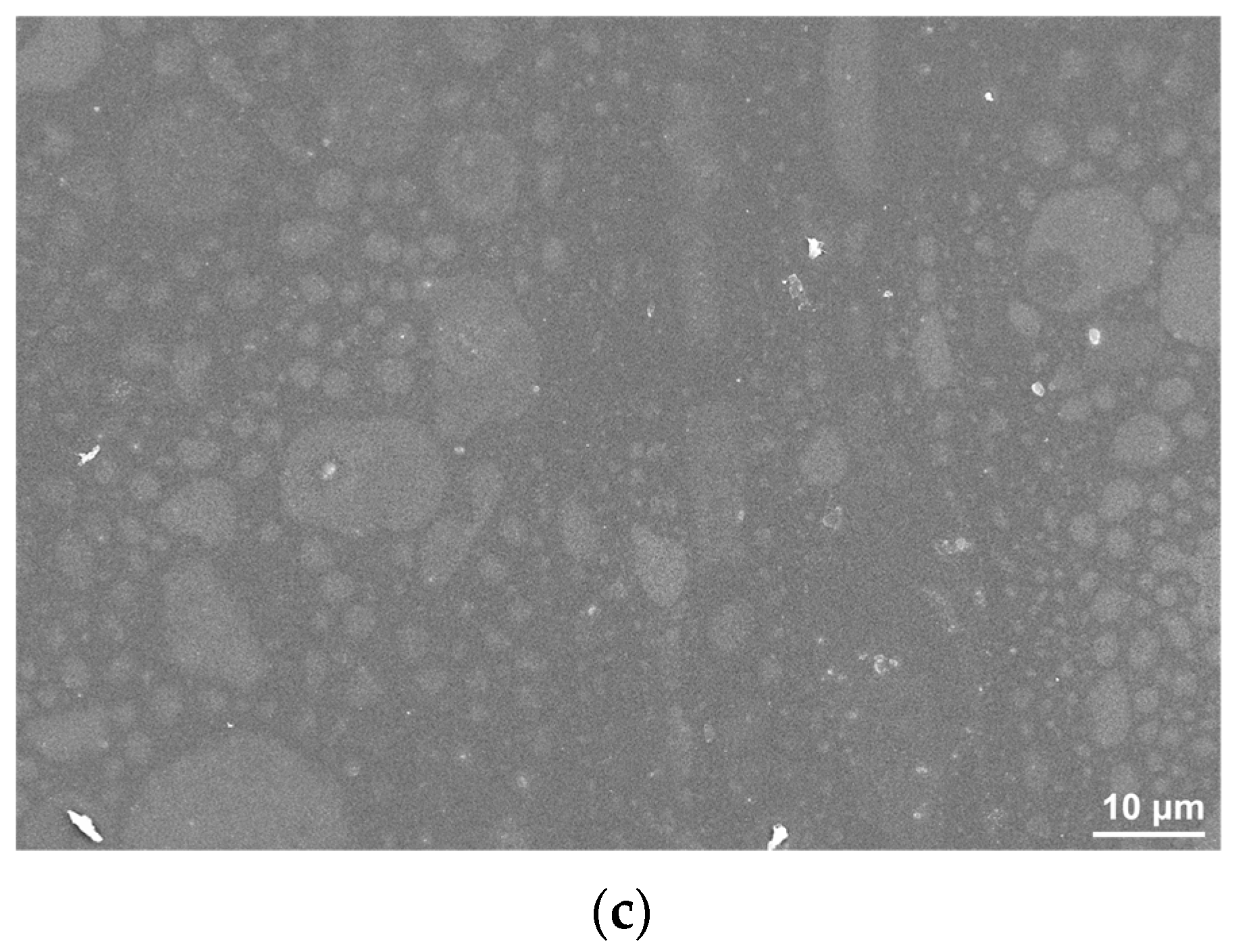 Nanomaterials 13 00964 g001b