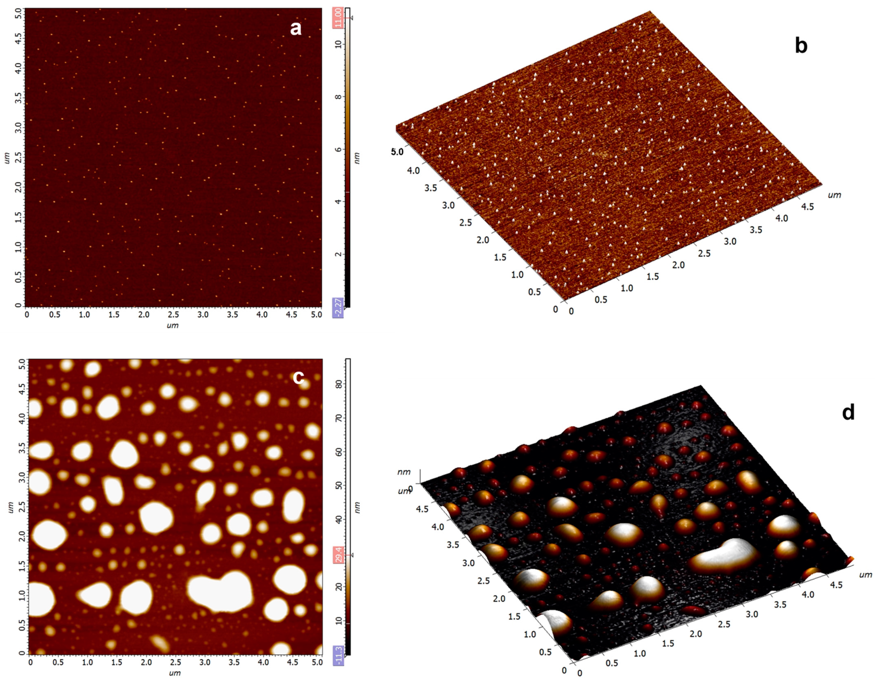 Nanomaterials 13 00964 g002