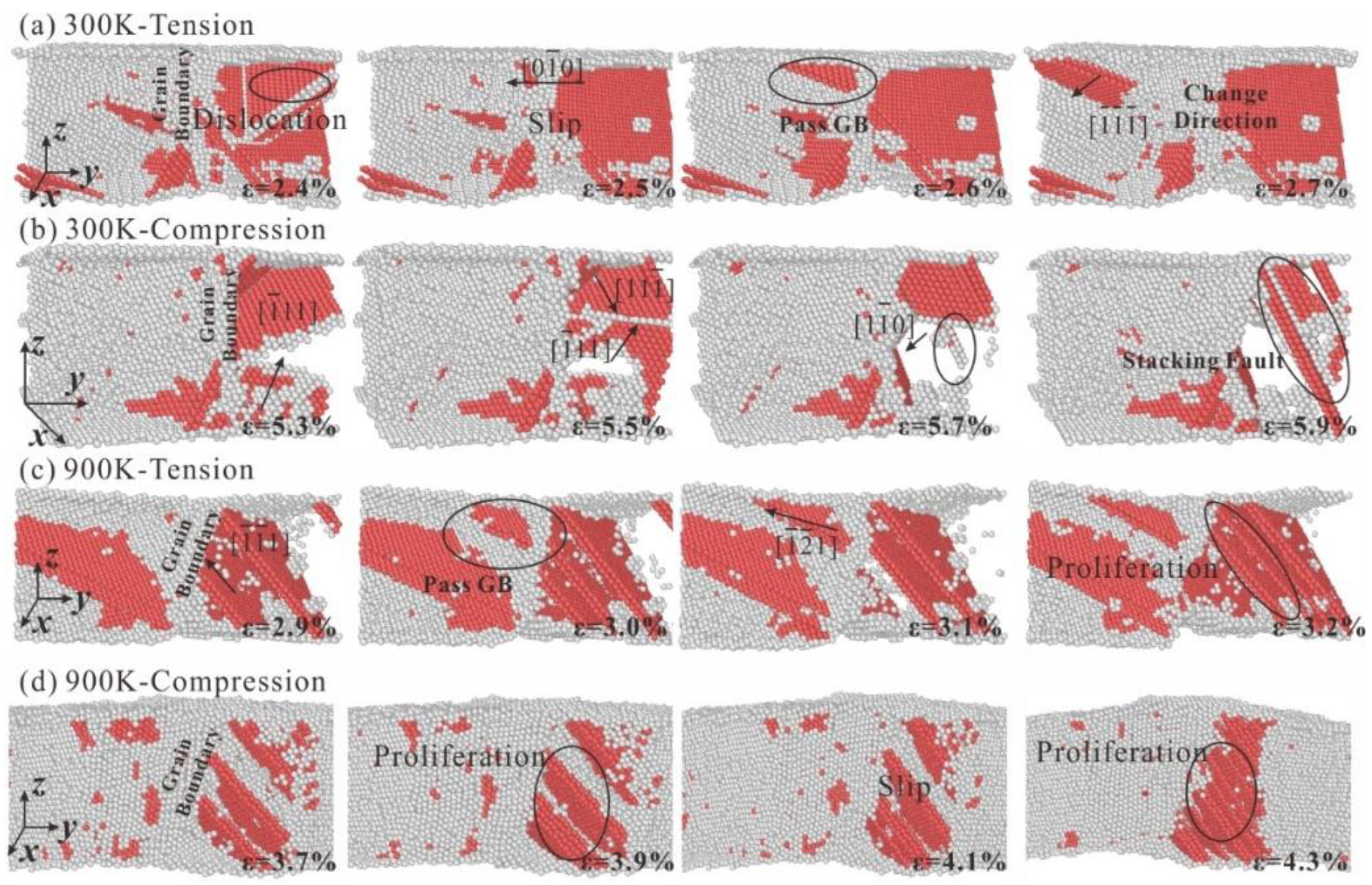 Nanomaterials 13 00968 g010
