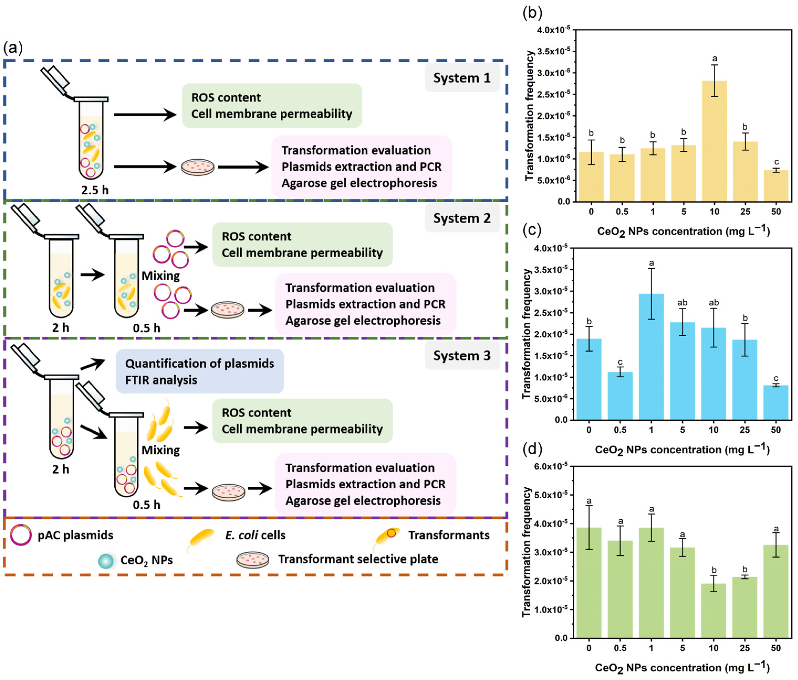 Nanomaterials 13 00969 g001