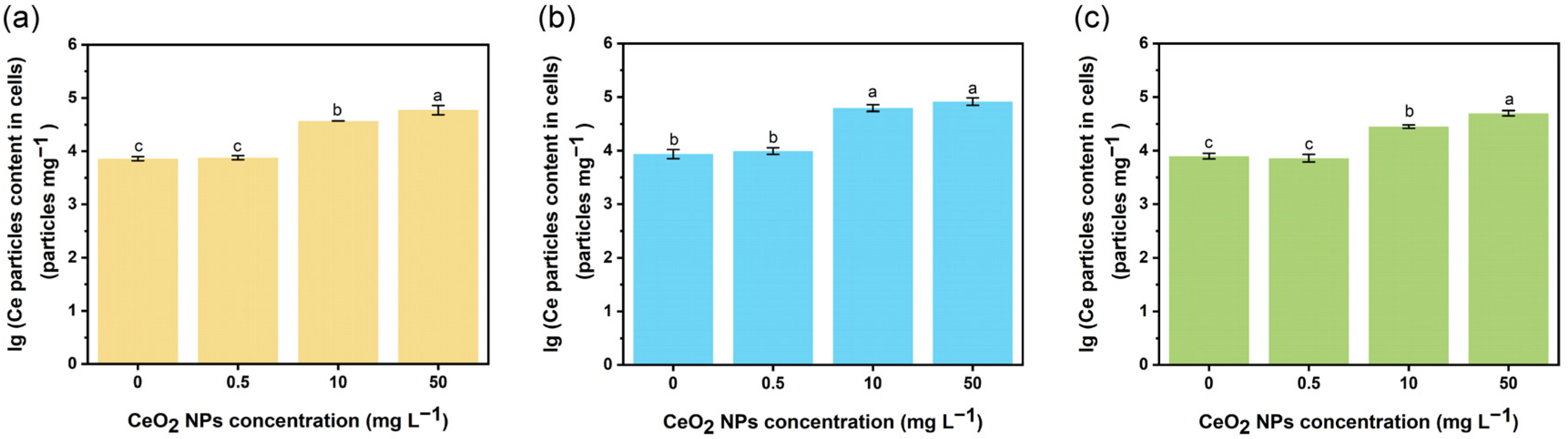 Nanomaterials 13 00969 g002