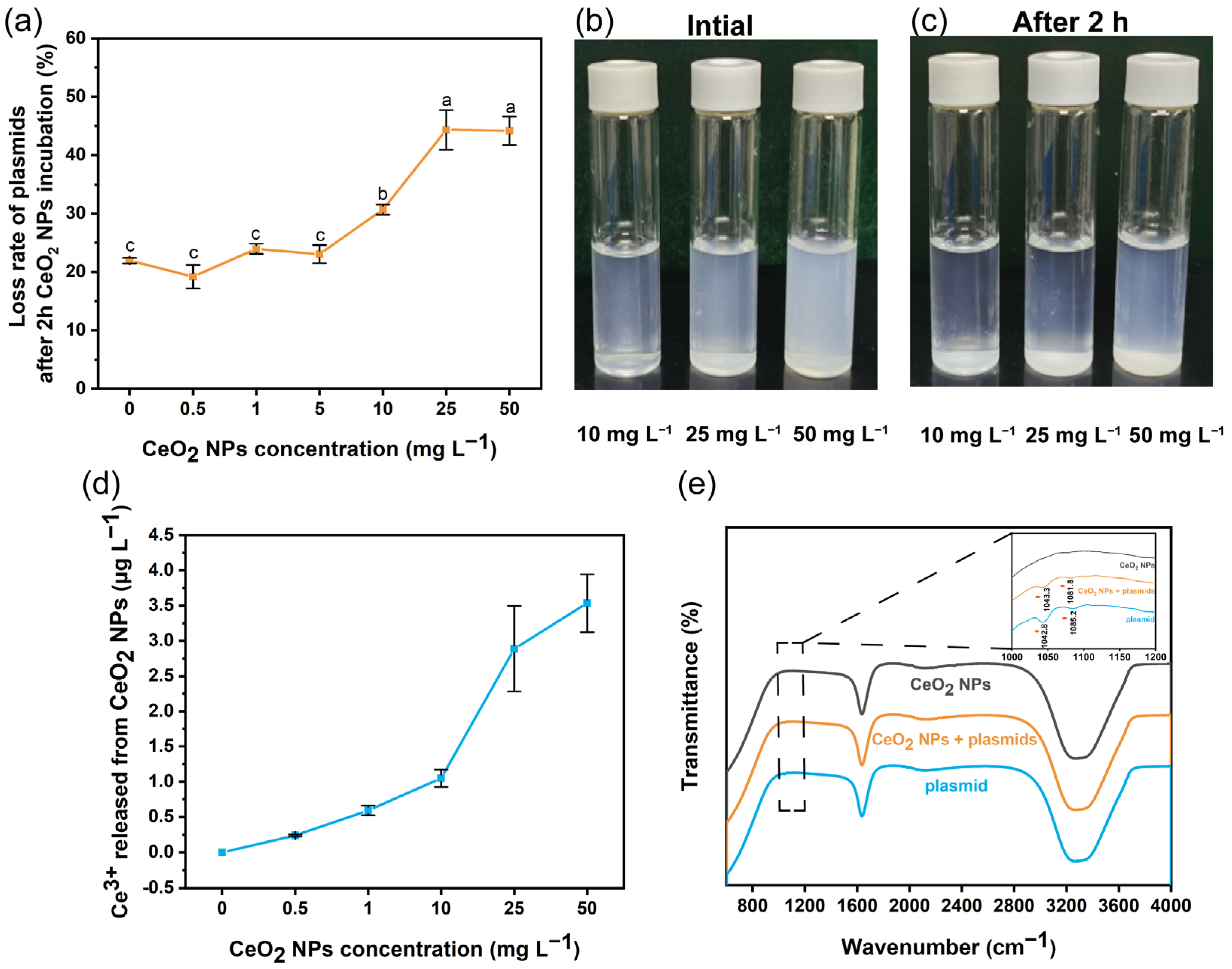 Nanomaterials 13 00969 g003