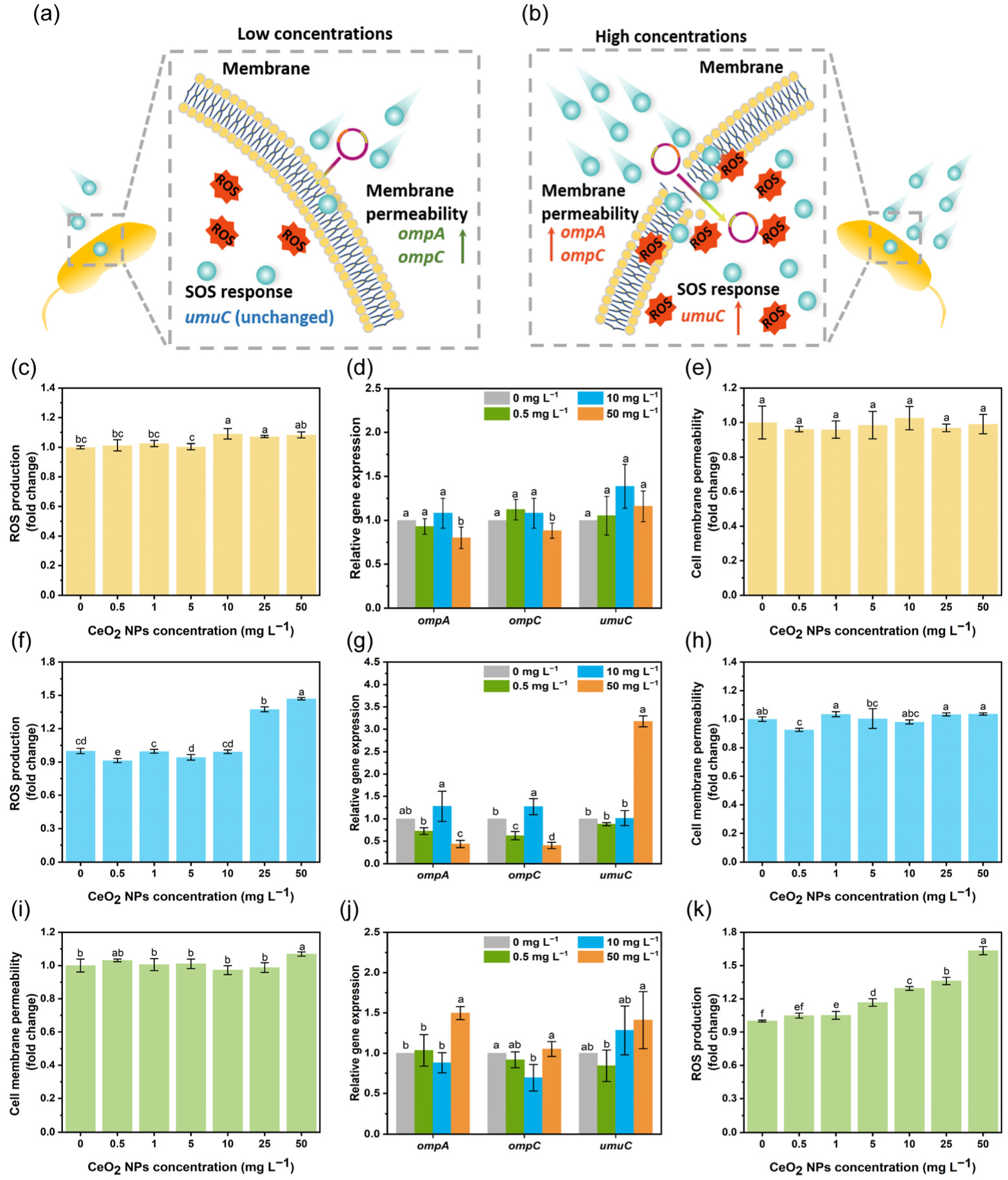 Nanomaterials 13 00969 g004