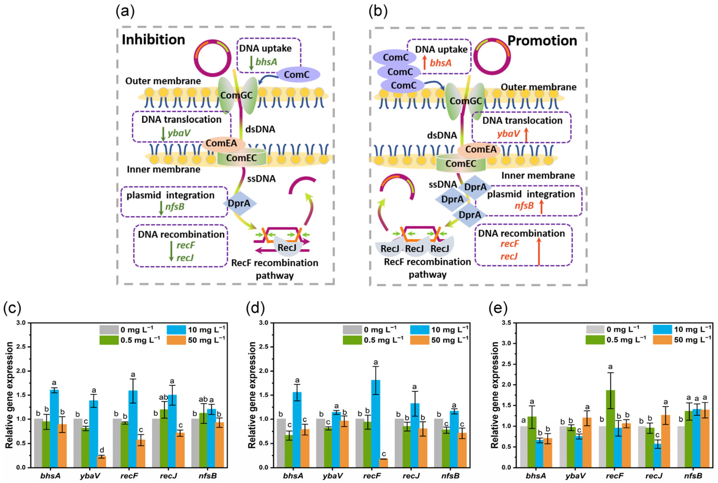 Nanomaterials 13 00969 g005