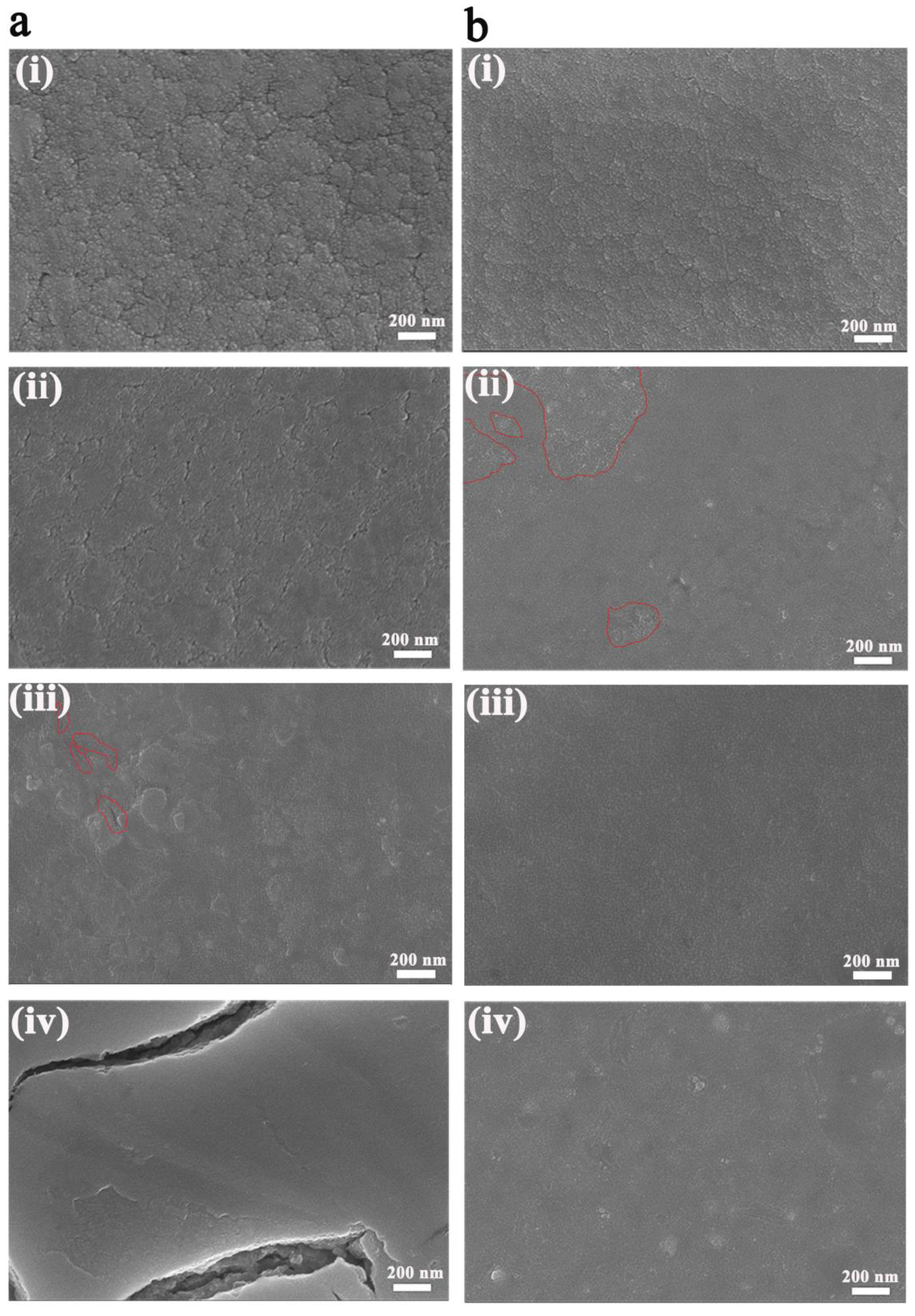 Nanomaterials 13 00973 g004
