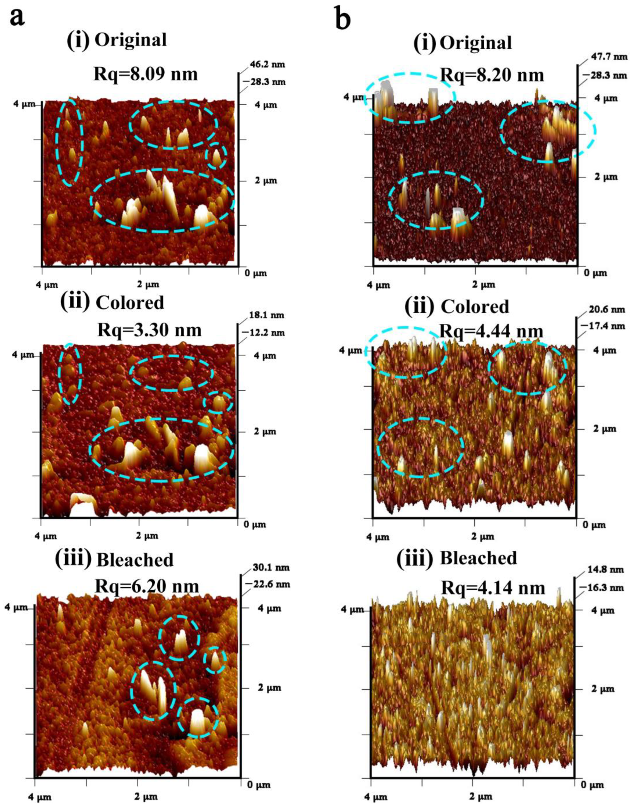 Nanomaterials 13 00973 g005