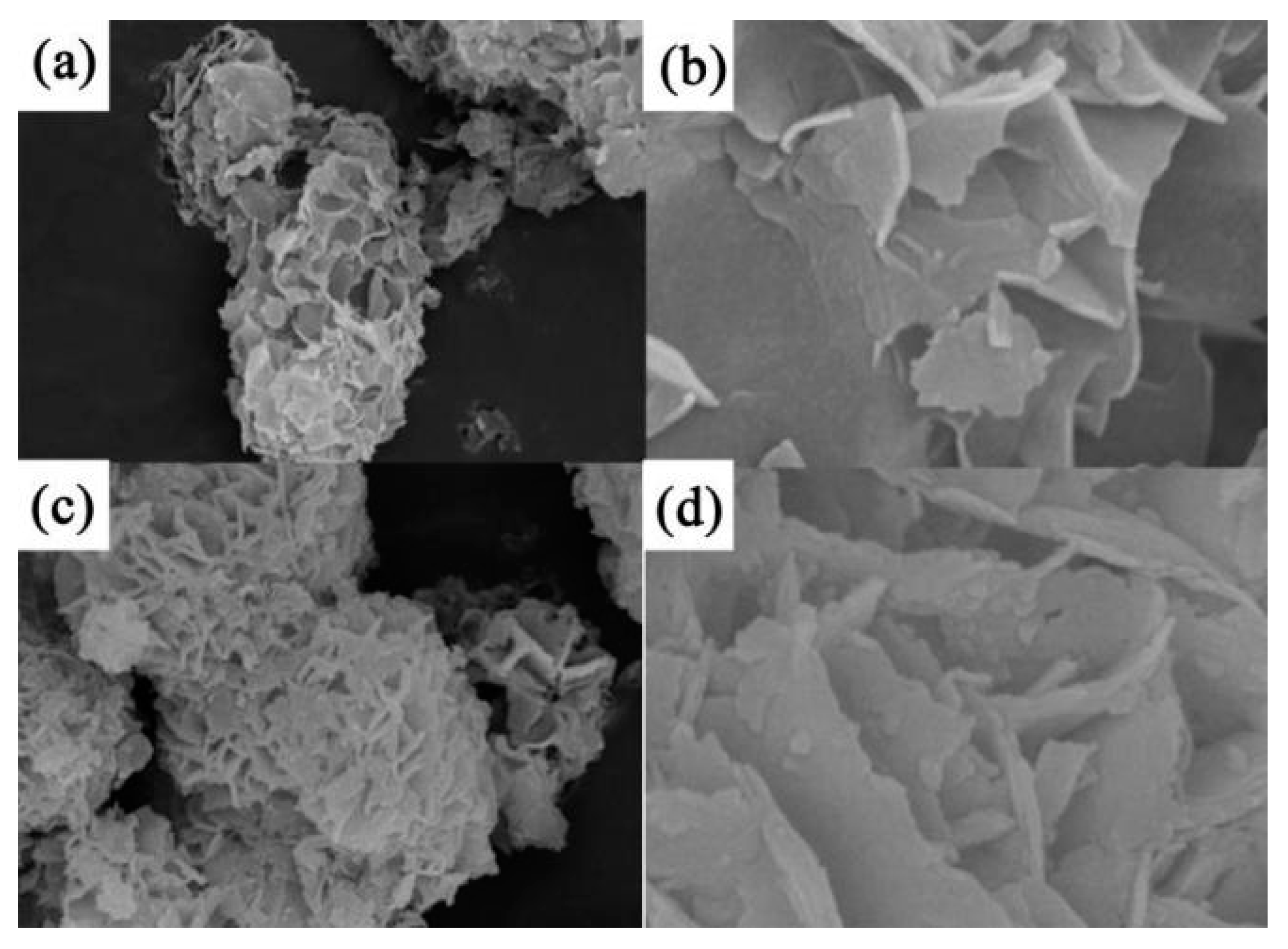 Nanomaterials 13 00979 g003