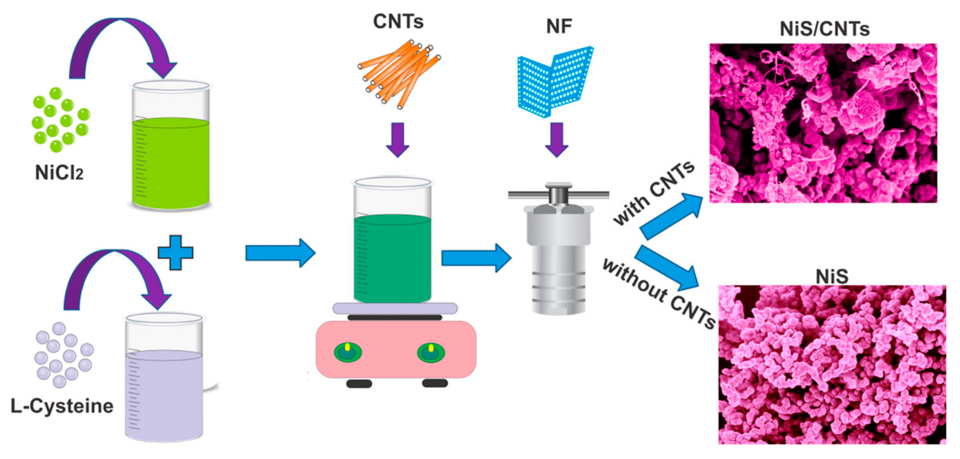 Nanomaterials 13 00979 g010