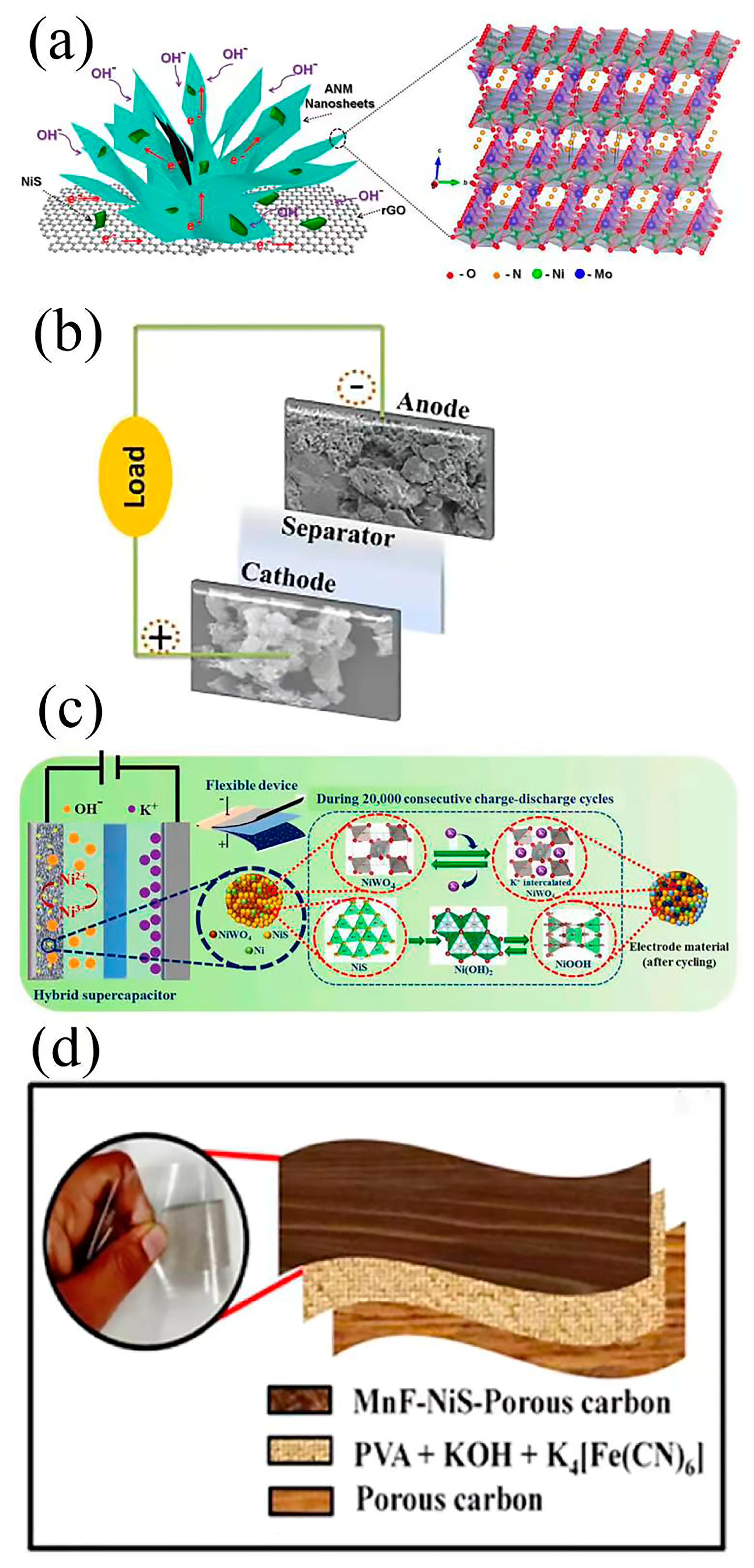 Nanomaterials 13 00979 g014