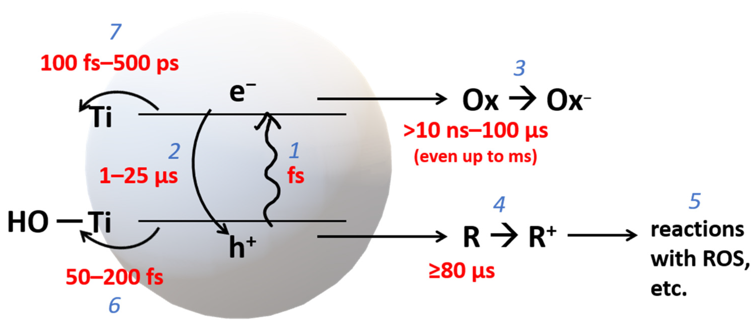 Nanomaterials 13 00982 g001