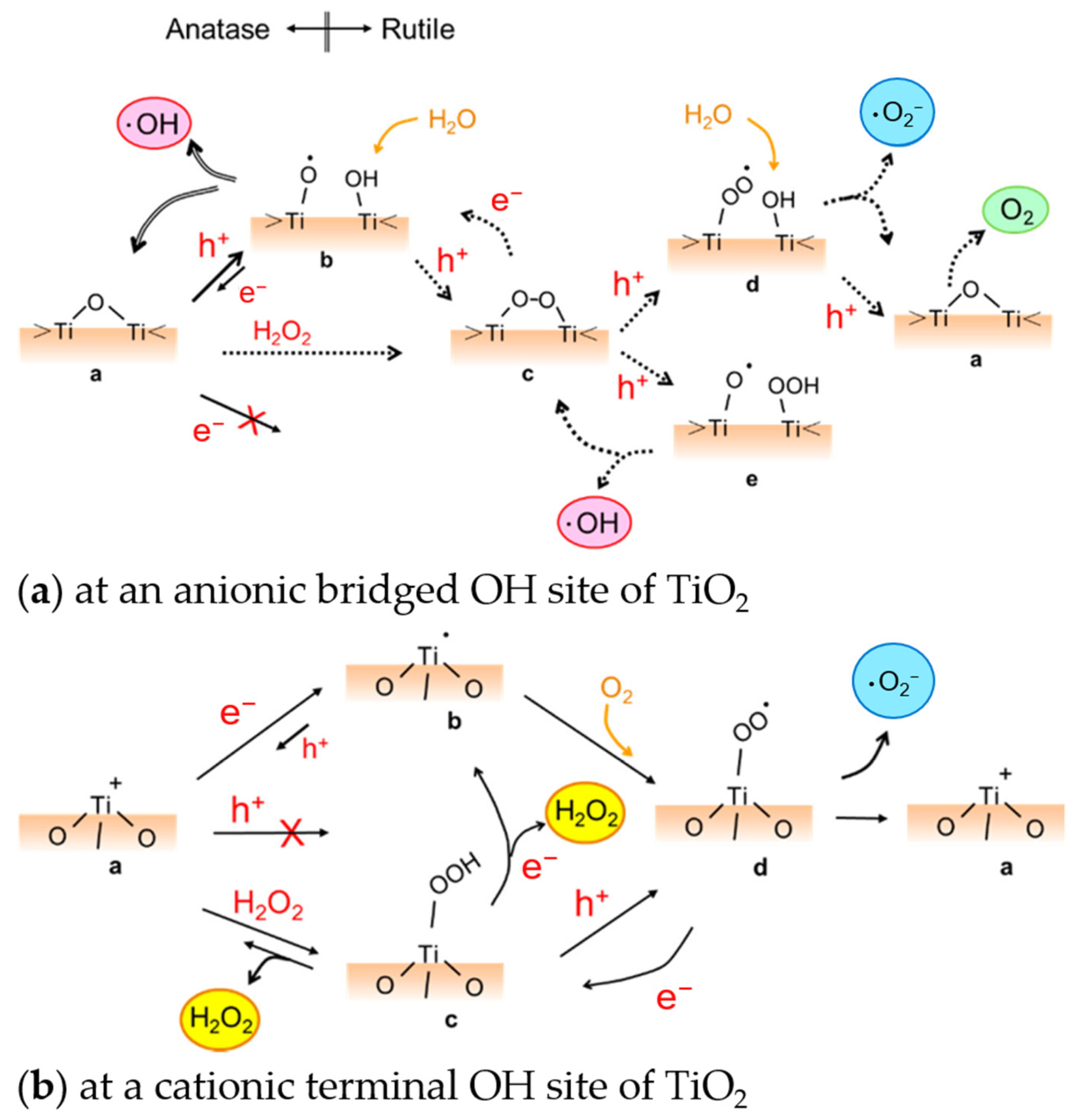 Nanomaterials 13 00982 g002