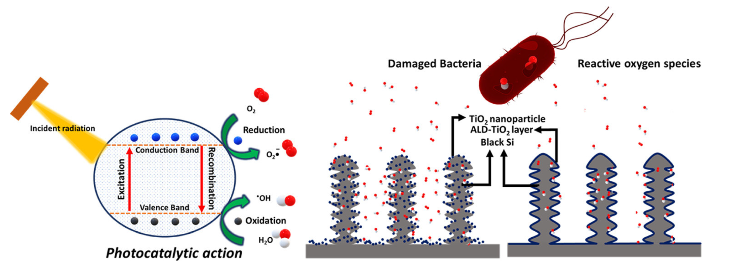 Nanomaterials 13 00982 g004