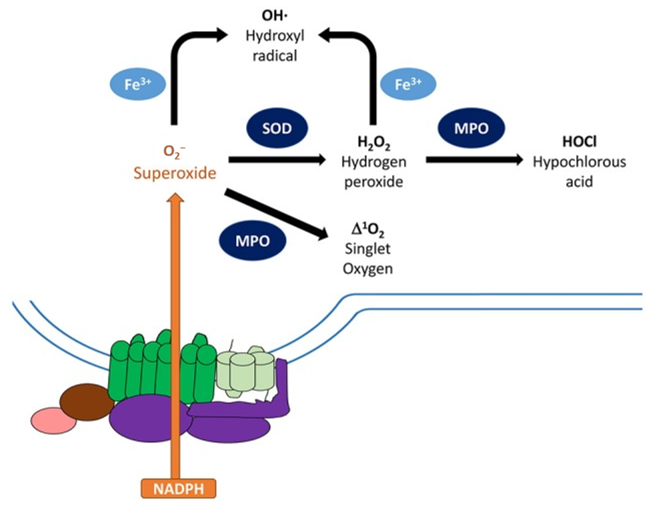Nanomaterials 13 00982 g010