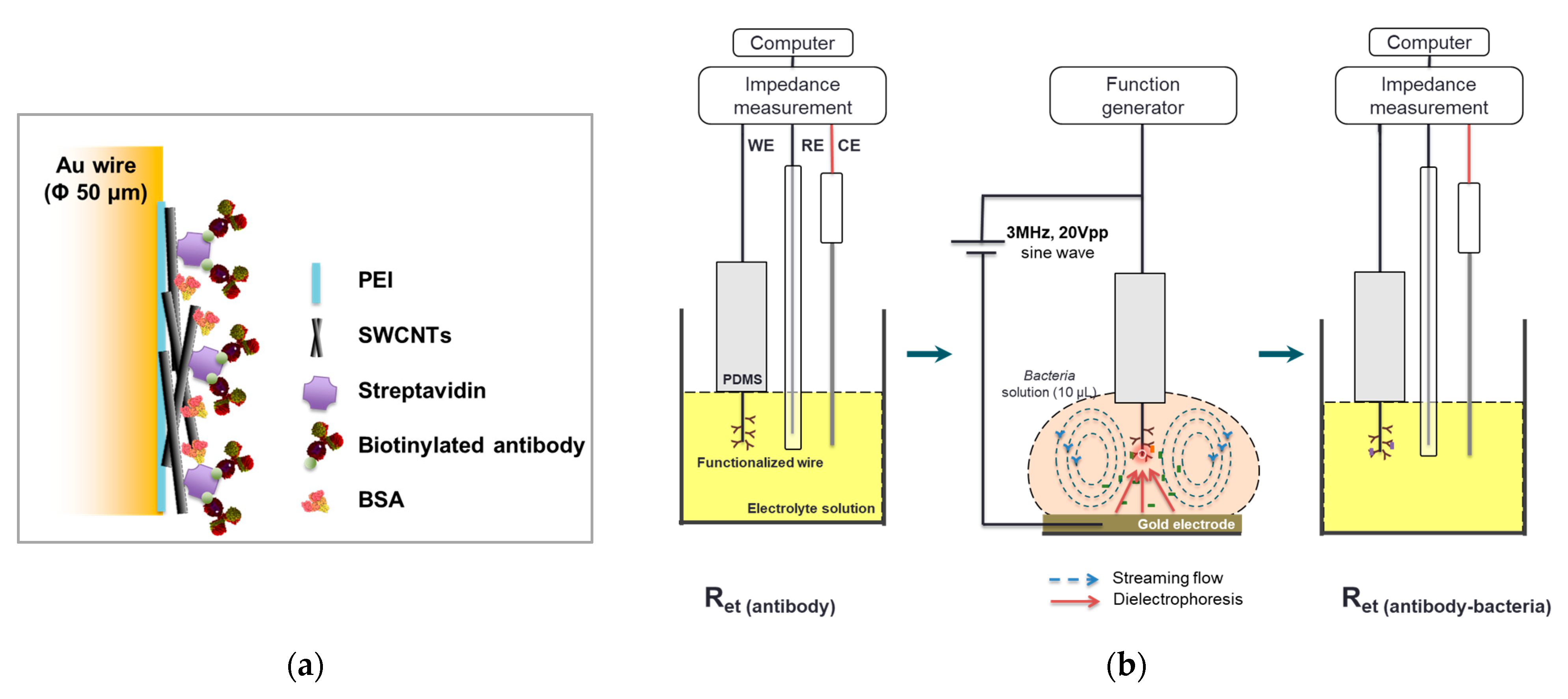 Nanomaterials 13 00985 g001