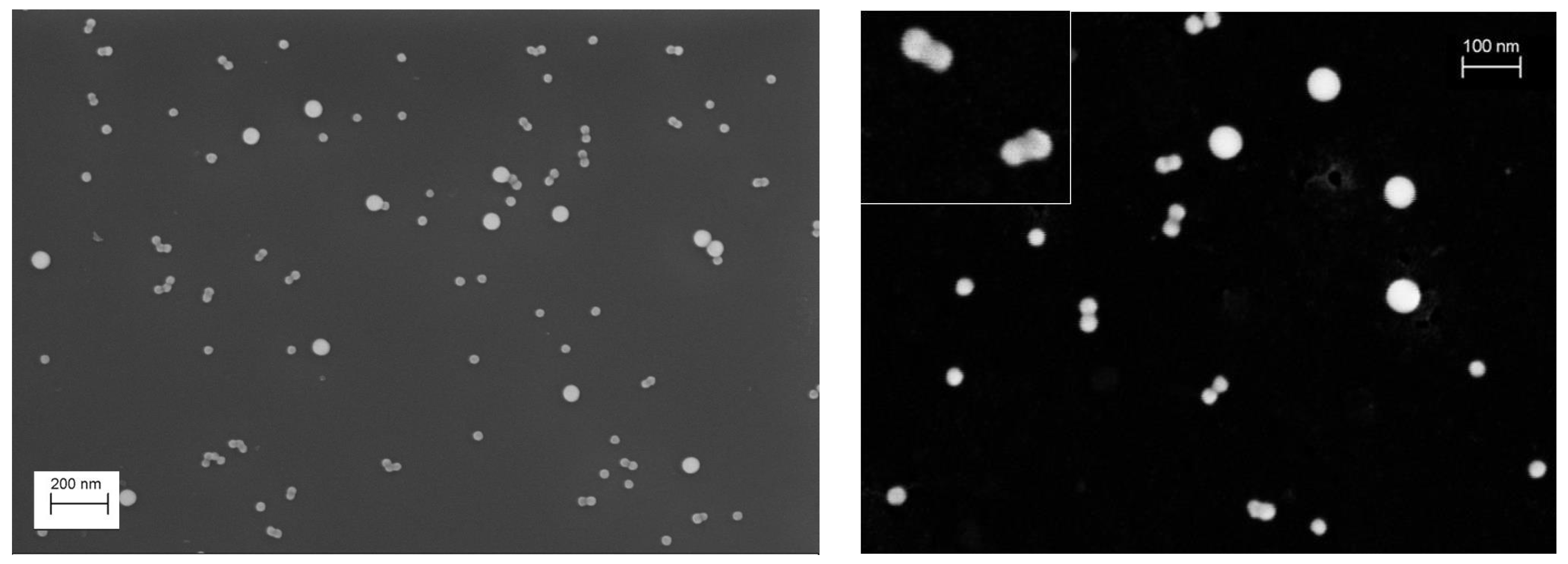 Nanomaterials 13 00993 g003 Nanomaterials 13 00993 g003