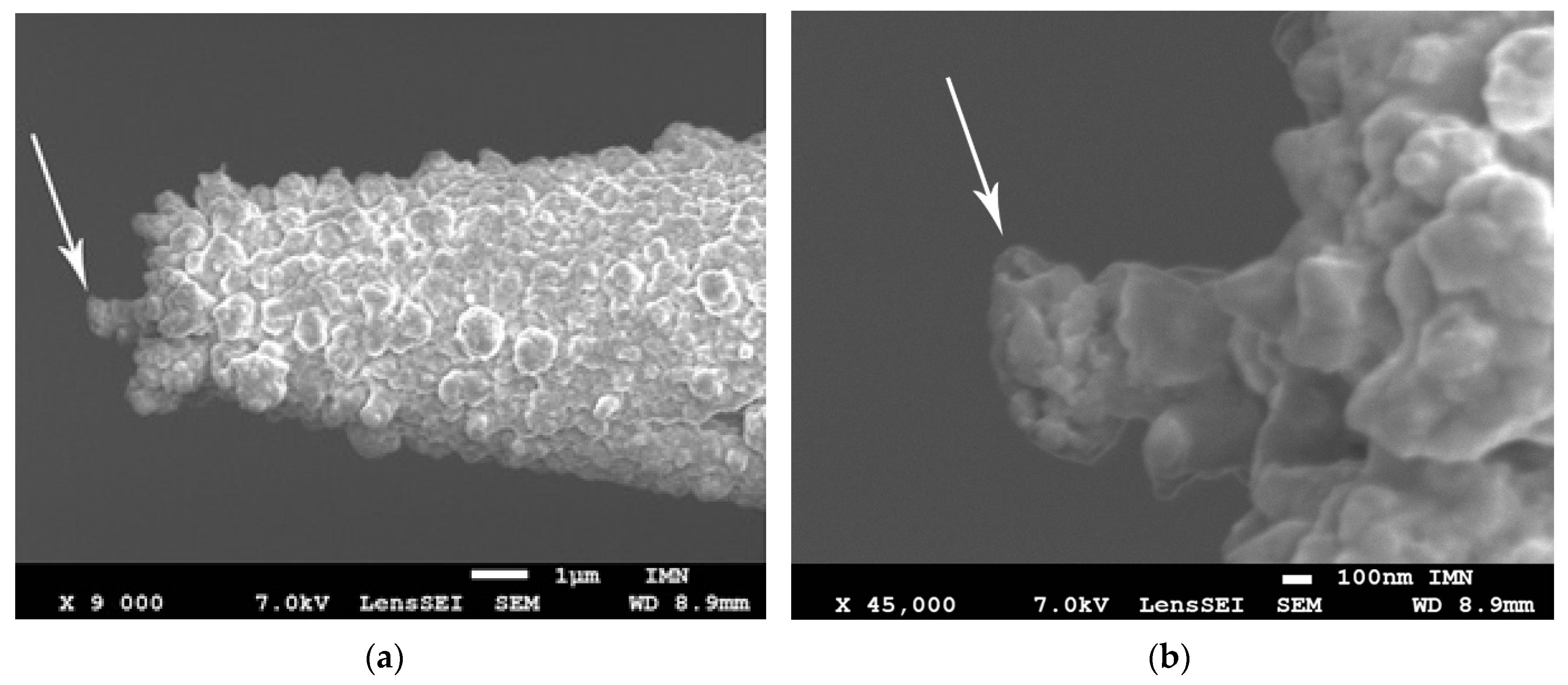 Nanomaterials 13 00996 g001