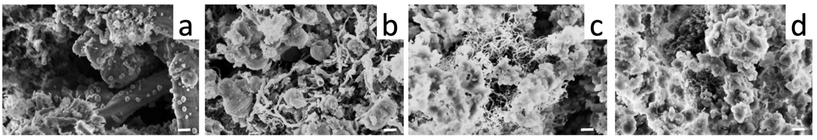 Nanomaterials 13 00997 g008