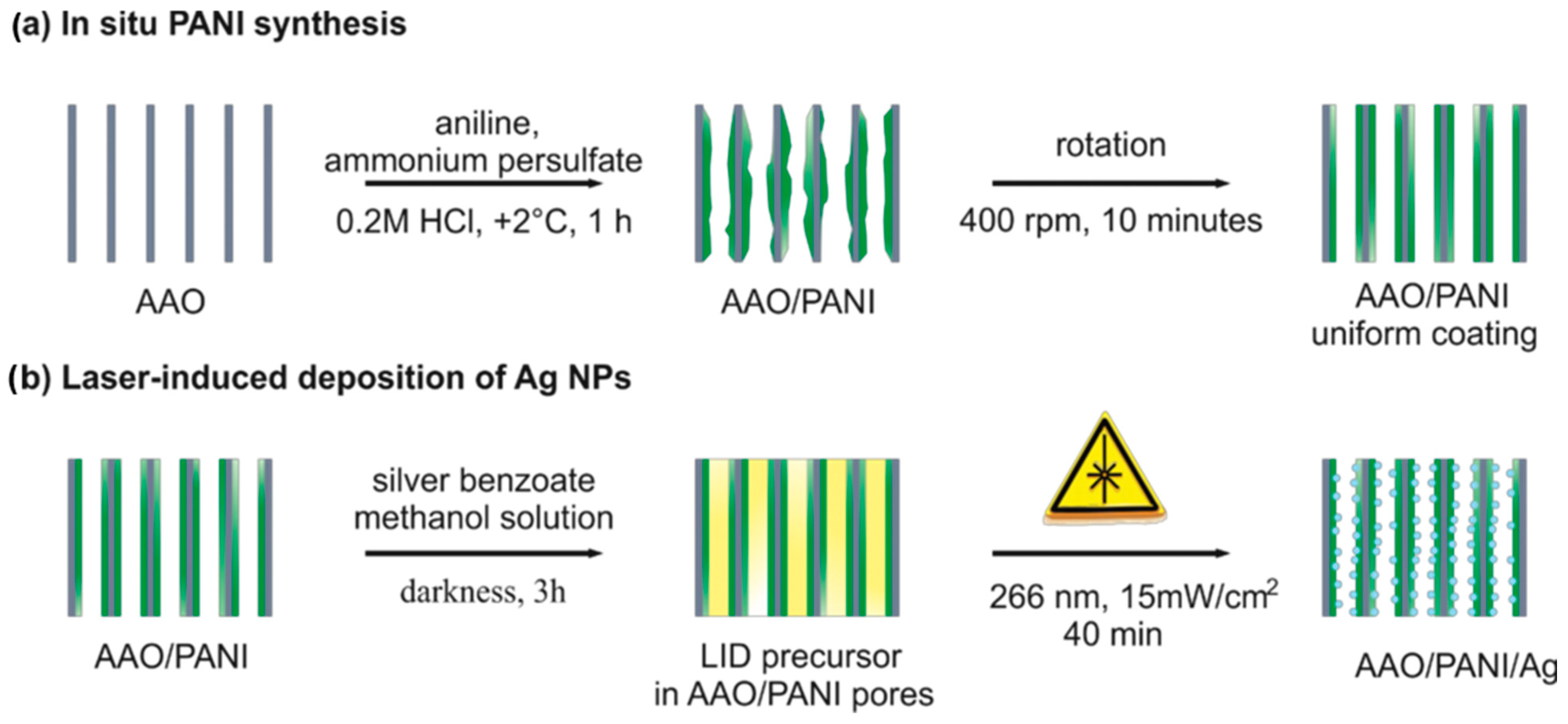 Nanomaterials 13 01002 g001