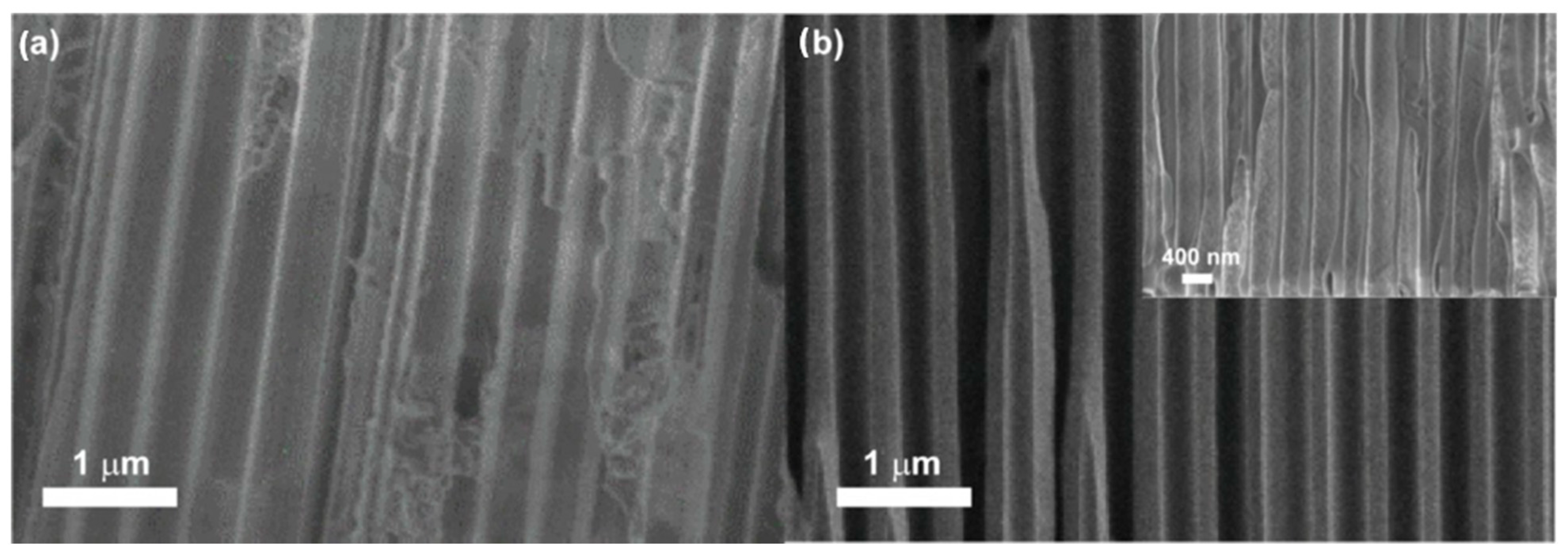 Nanomaterials 13 01002 g003