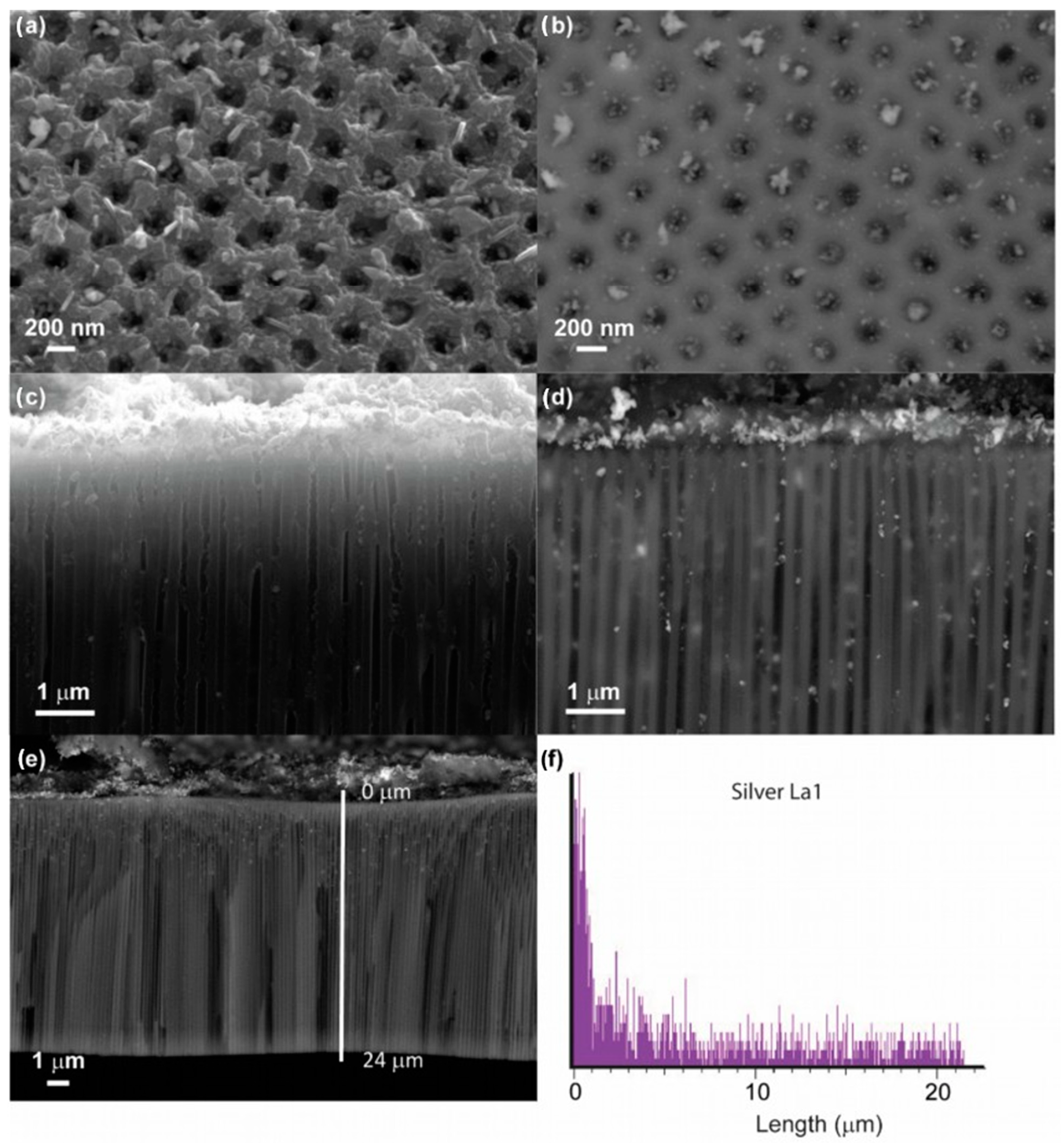 Nanomaterials 13 01002 g004
