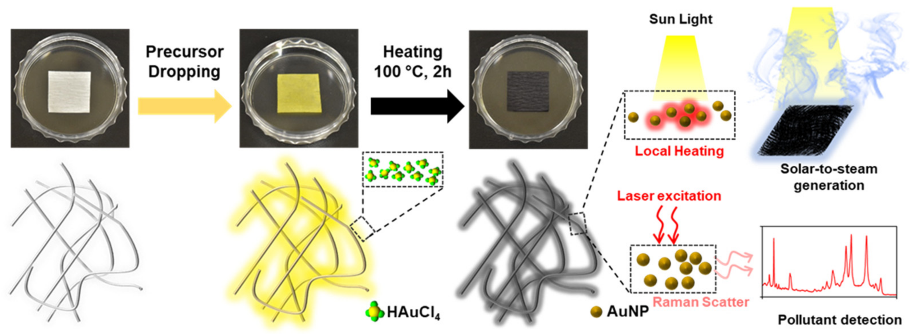 Nanomaterials 13 01003 g001
