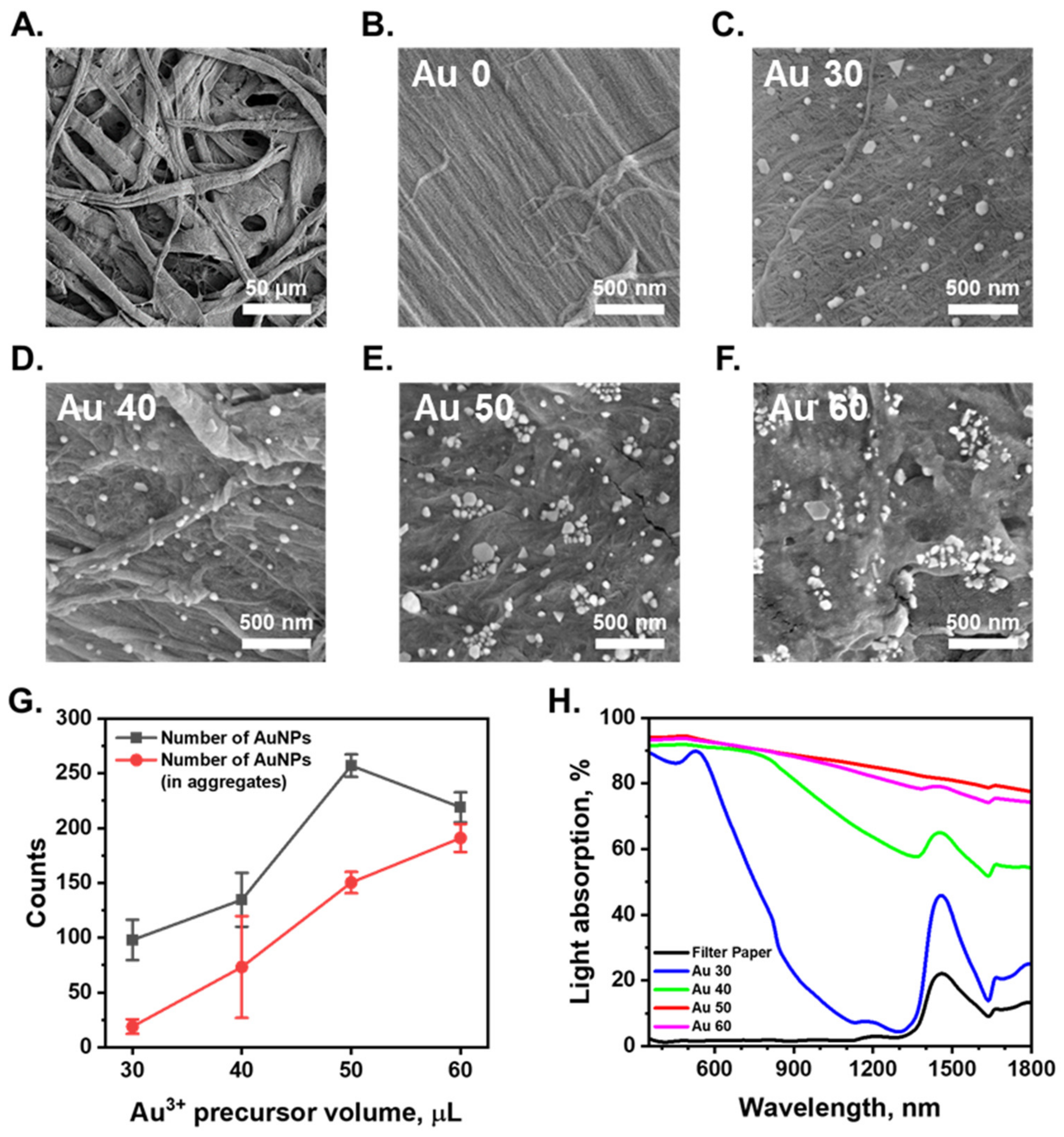 Nanomaterials 13 01003 g002