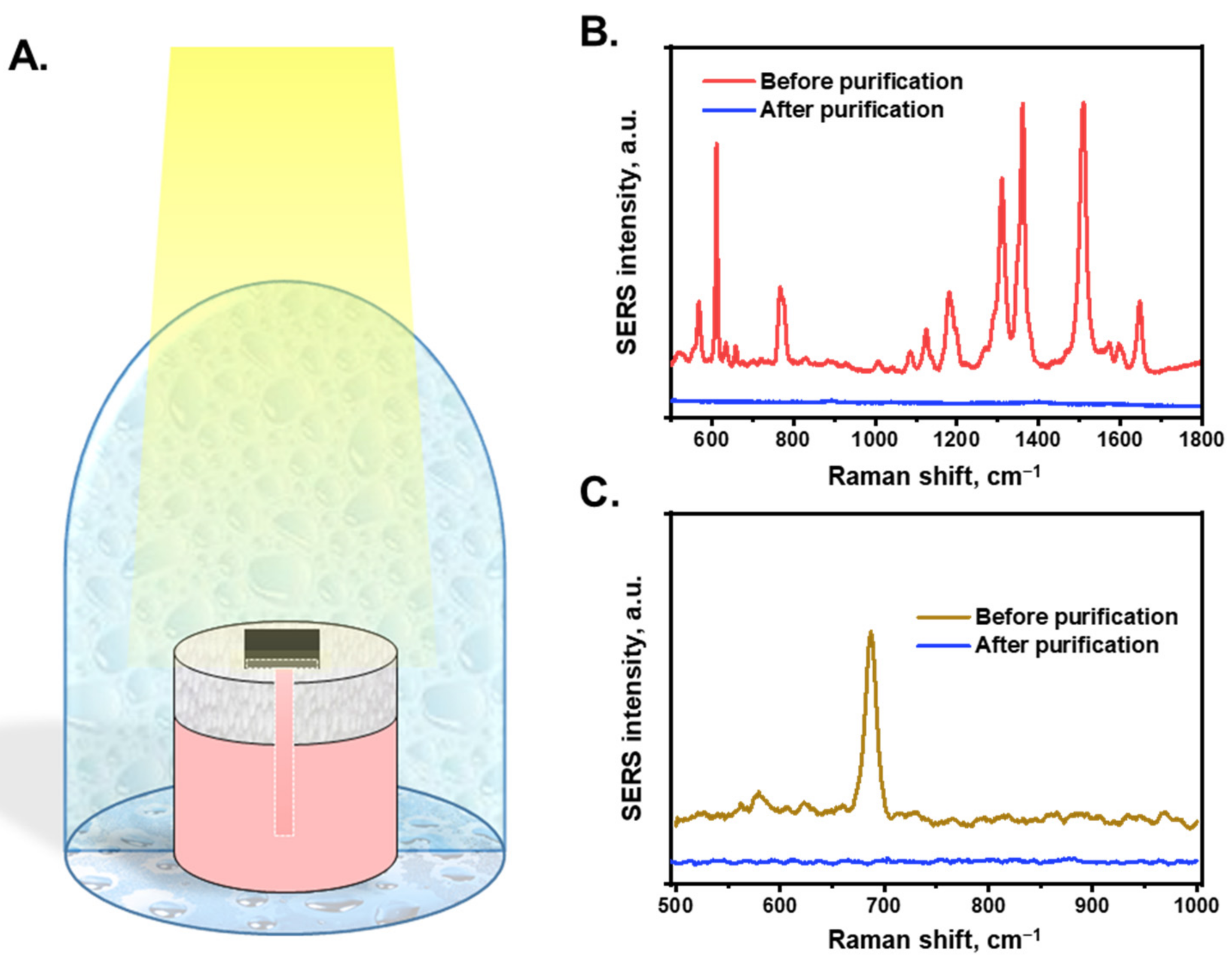 Nanomaterials 13 01003 g005