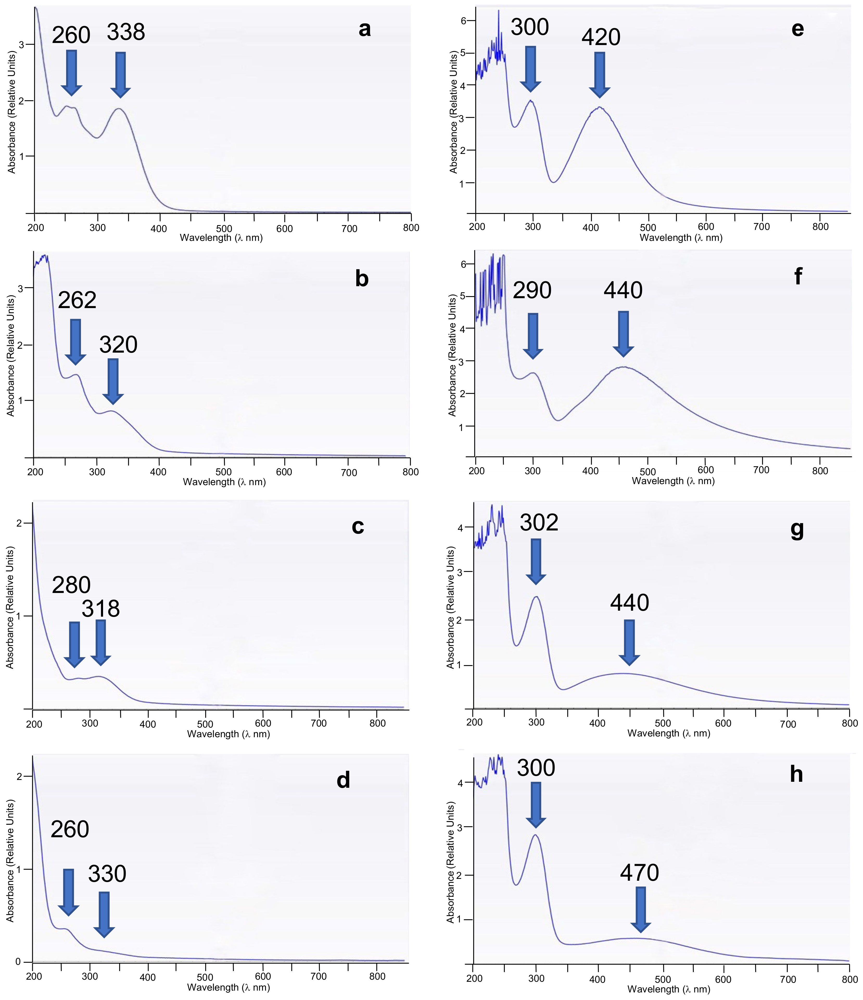 Nanomaterials 13 01010 g003