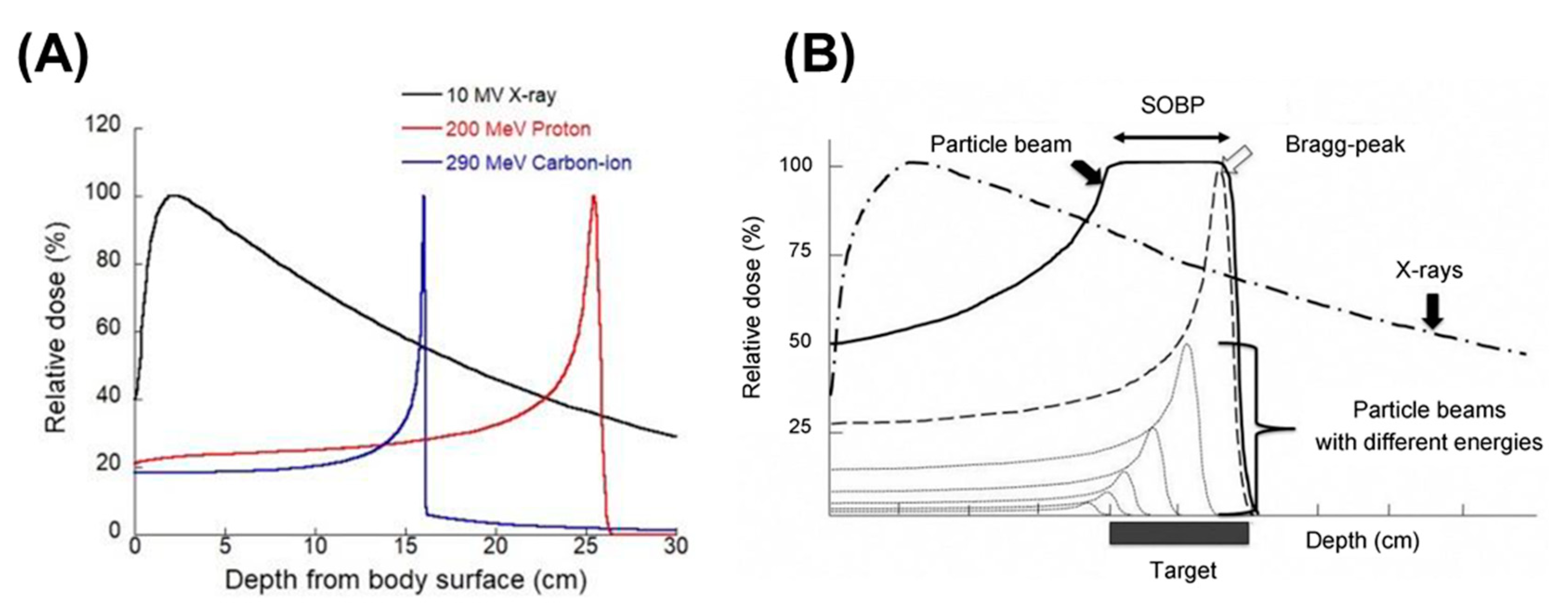 Nanomaterials 13 01011 g001 Nanomaterials 13 01011 g001
