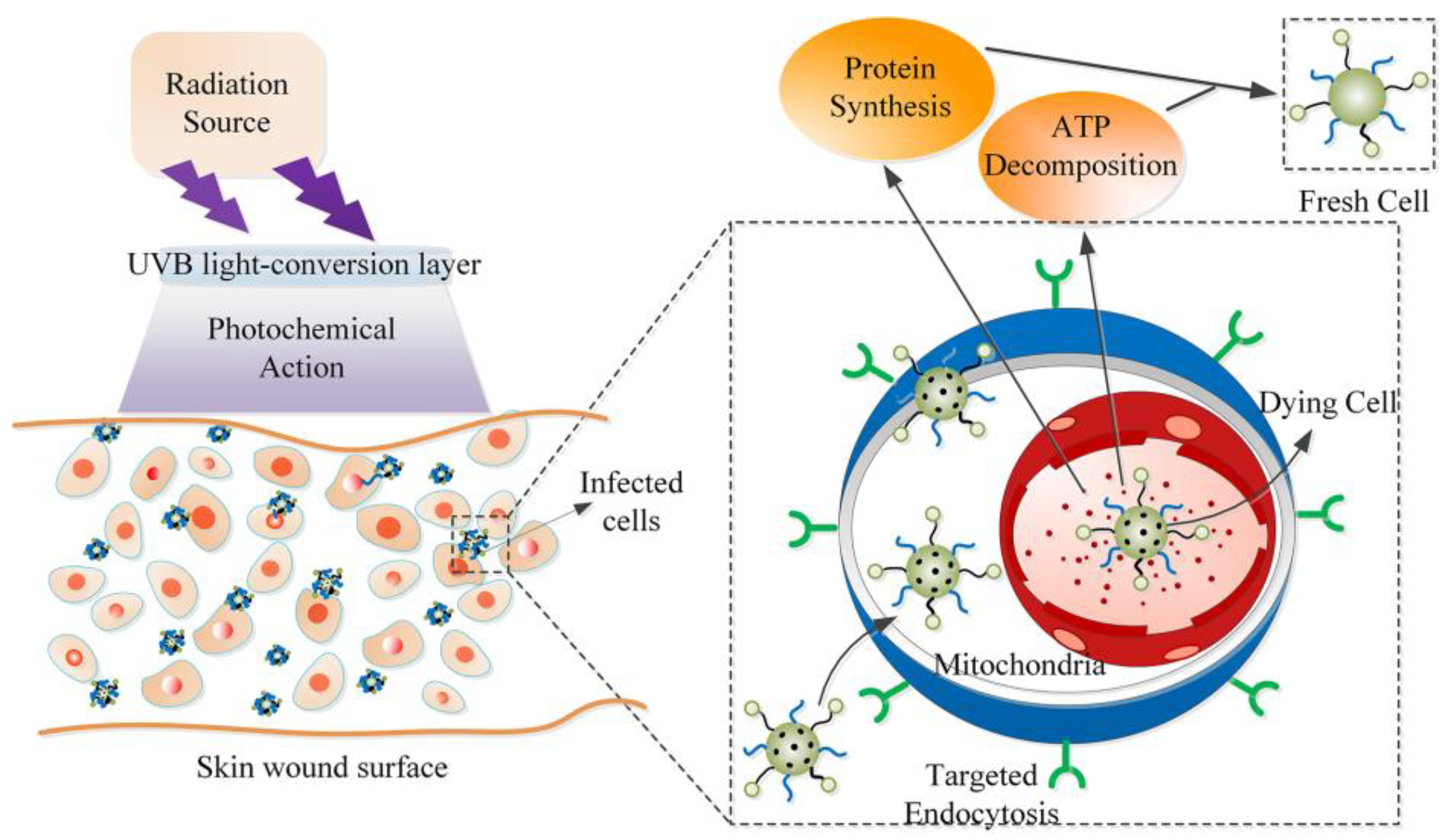 Nanomaterials 13 01013 g001