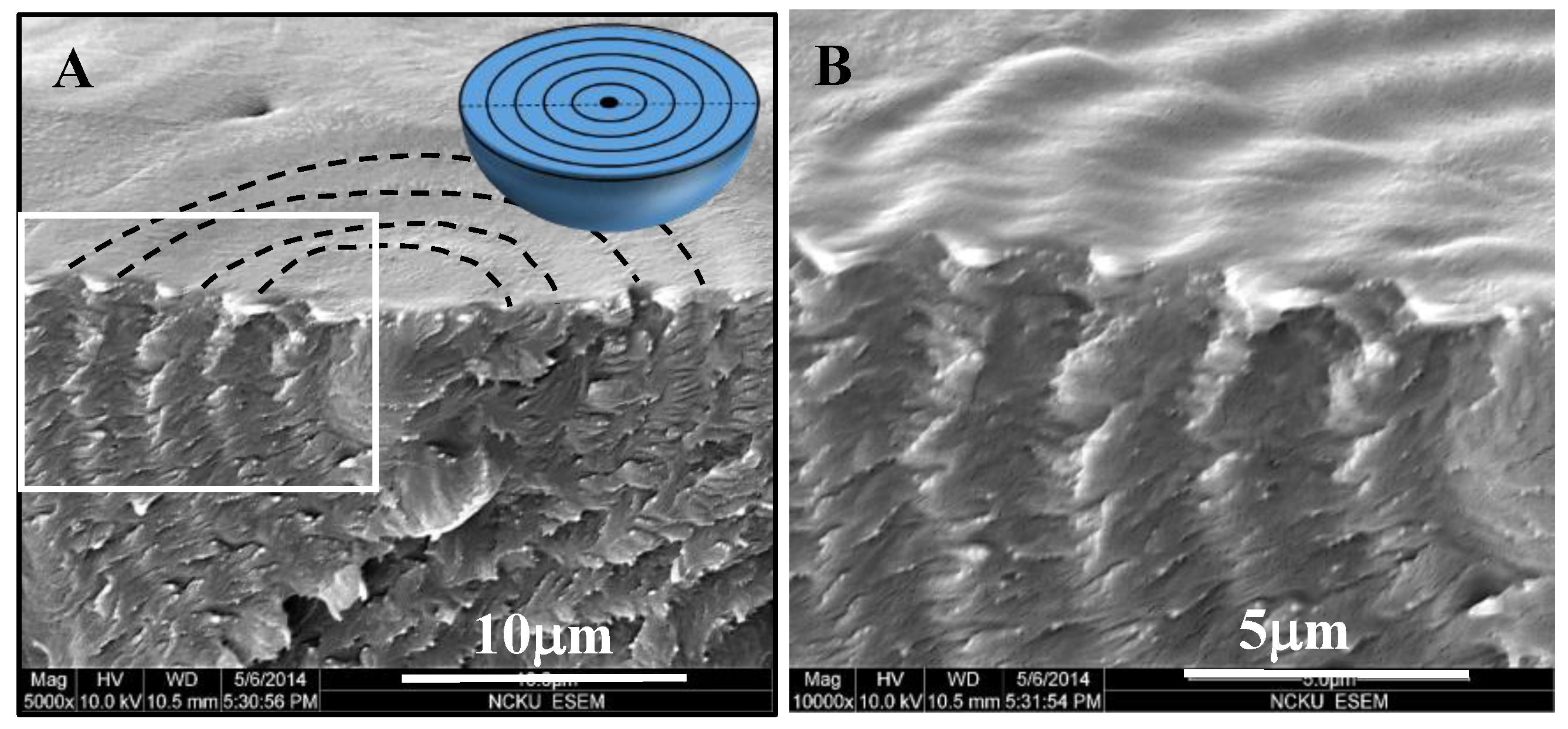 Nanomaterials 13 01016 g005 Nanomaterials 13 01016 g005