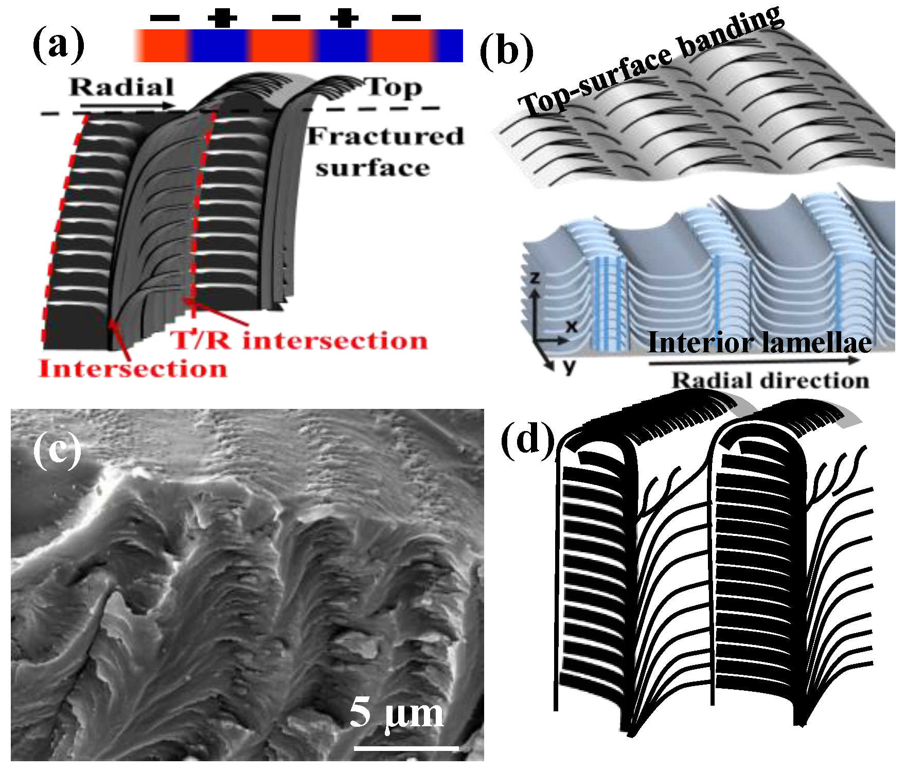 Nanomaterials 13 01016 g011 Nanomaterials 13 01016 g011