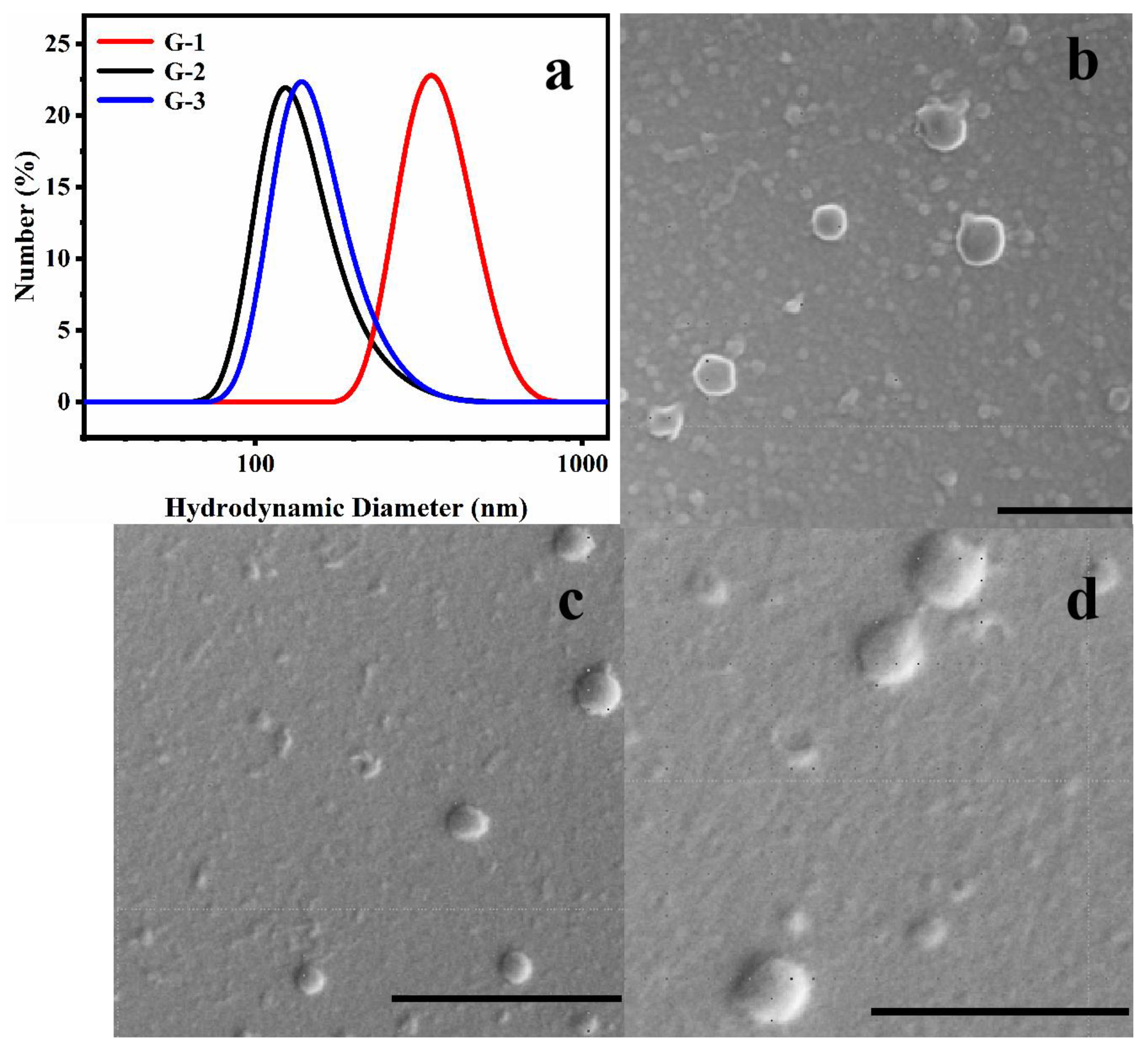 Nanomaterials 13 01017 g005