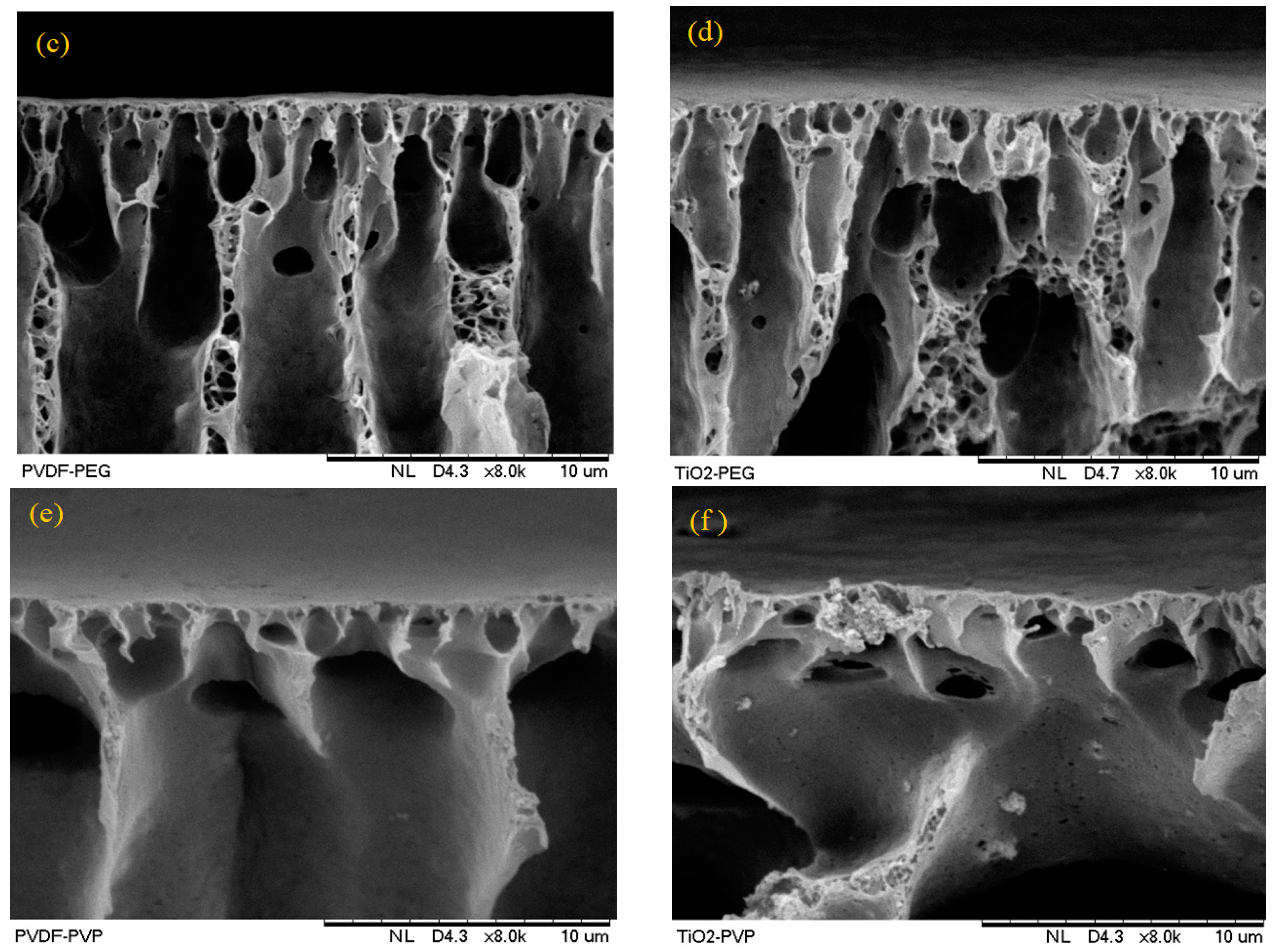Nanomaterials 13 01023 g002b Nanomaterials 13 01023 g002b
