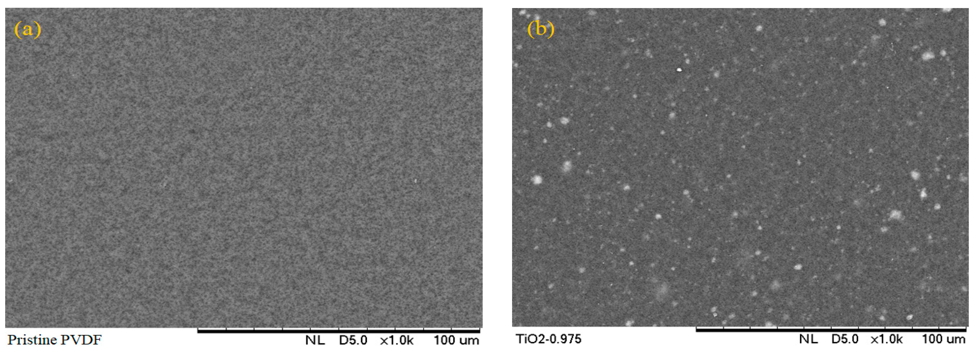 Nanomaterials 13 01023 g003a Nanomaterials 13 01023 g003a