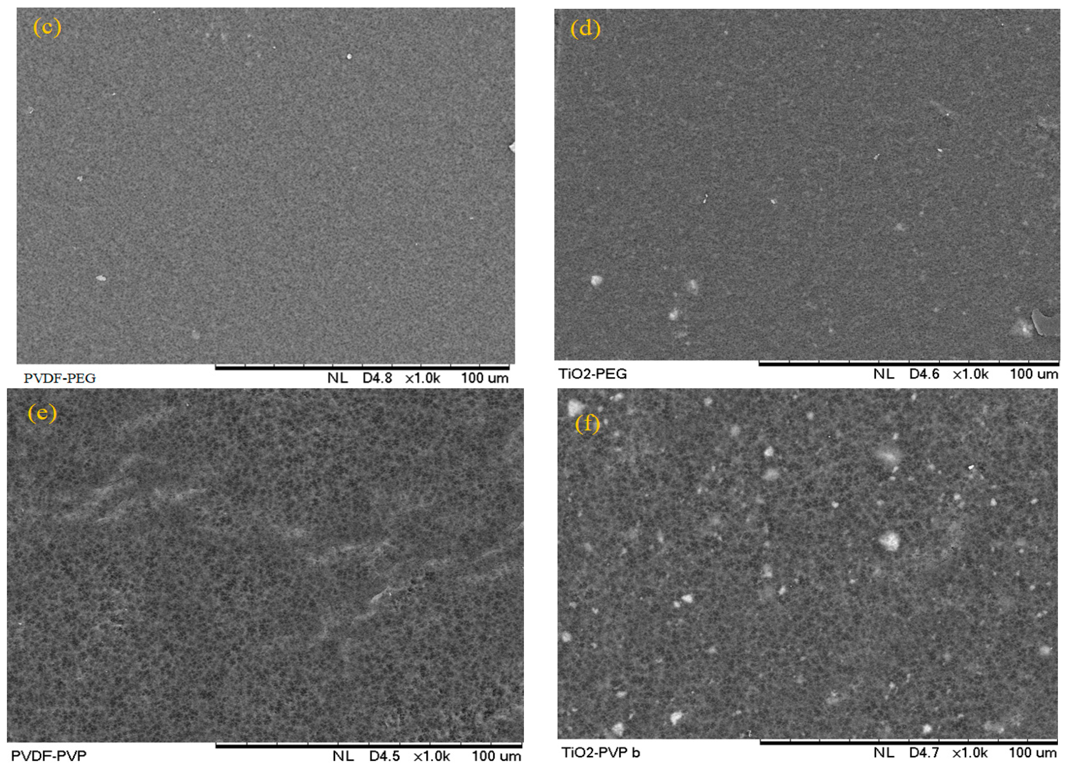 Nanomaterials 13 01023 g003b Nanomaterials 13 01023 g003b